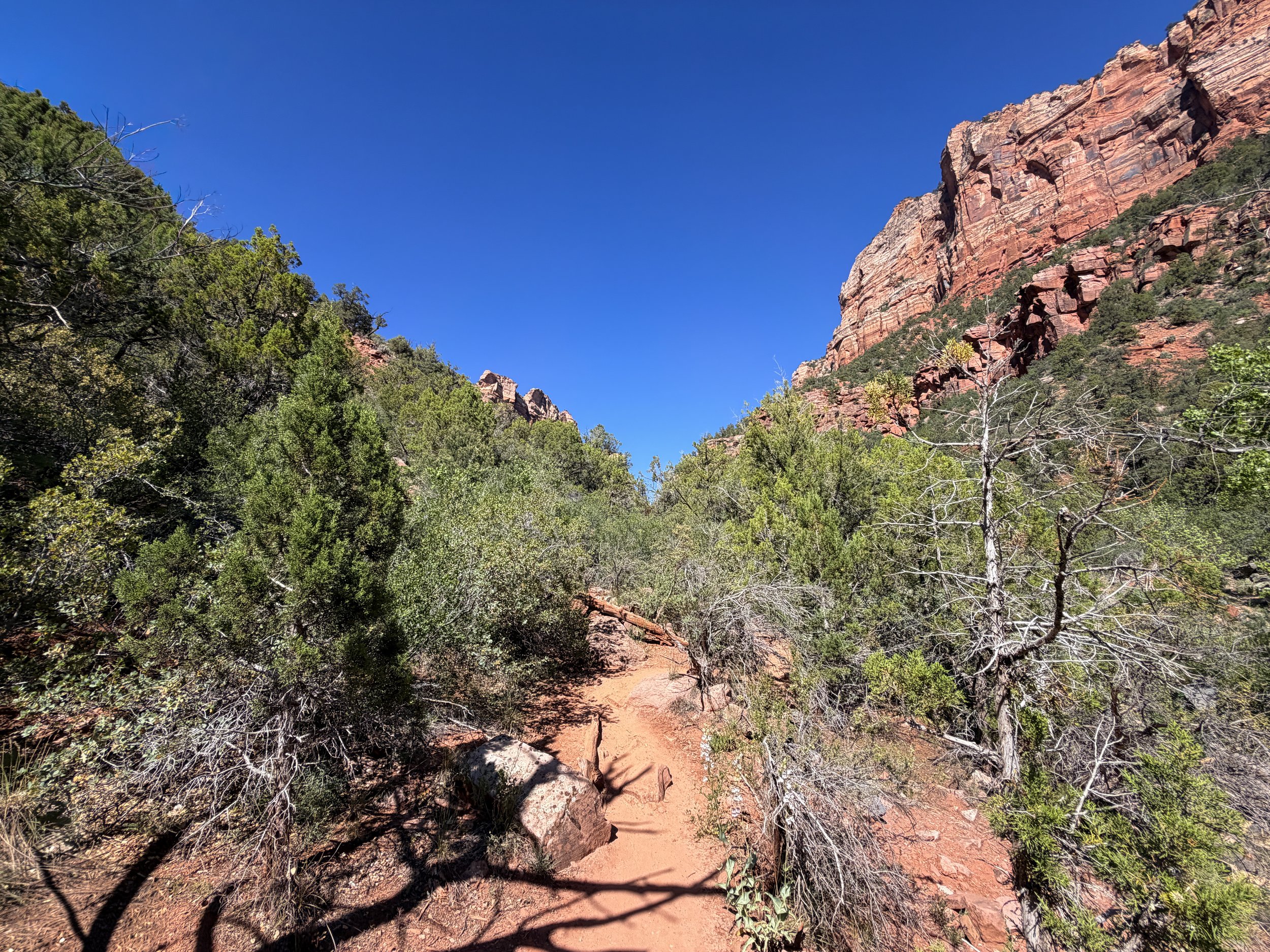 Subway Hike Bottom–Up Route Zion National Park Utah