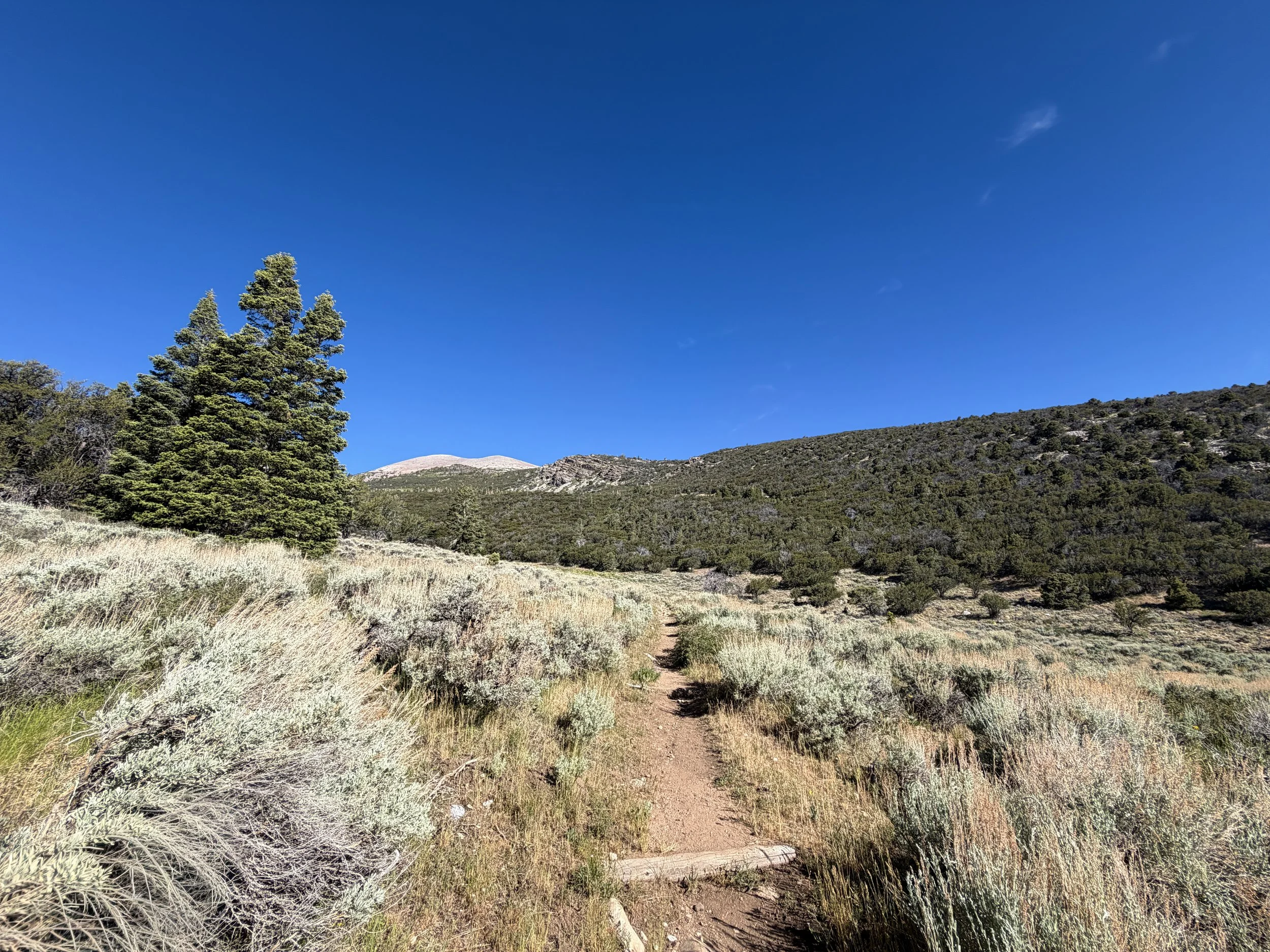 Baker Lake Hike Great Basin National Park Nevada