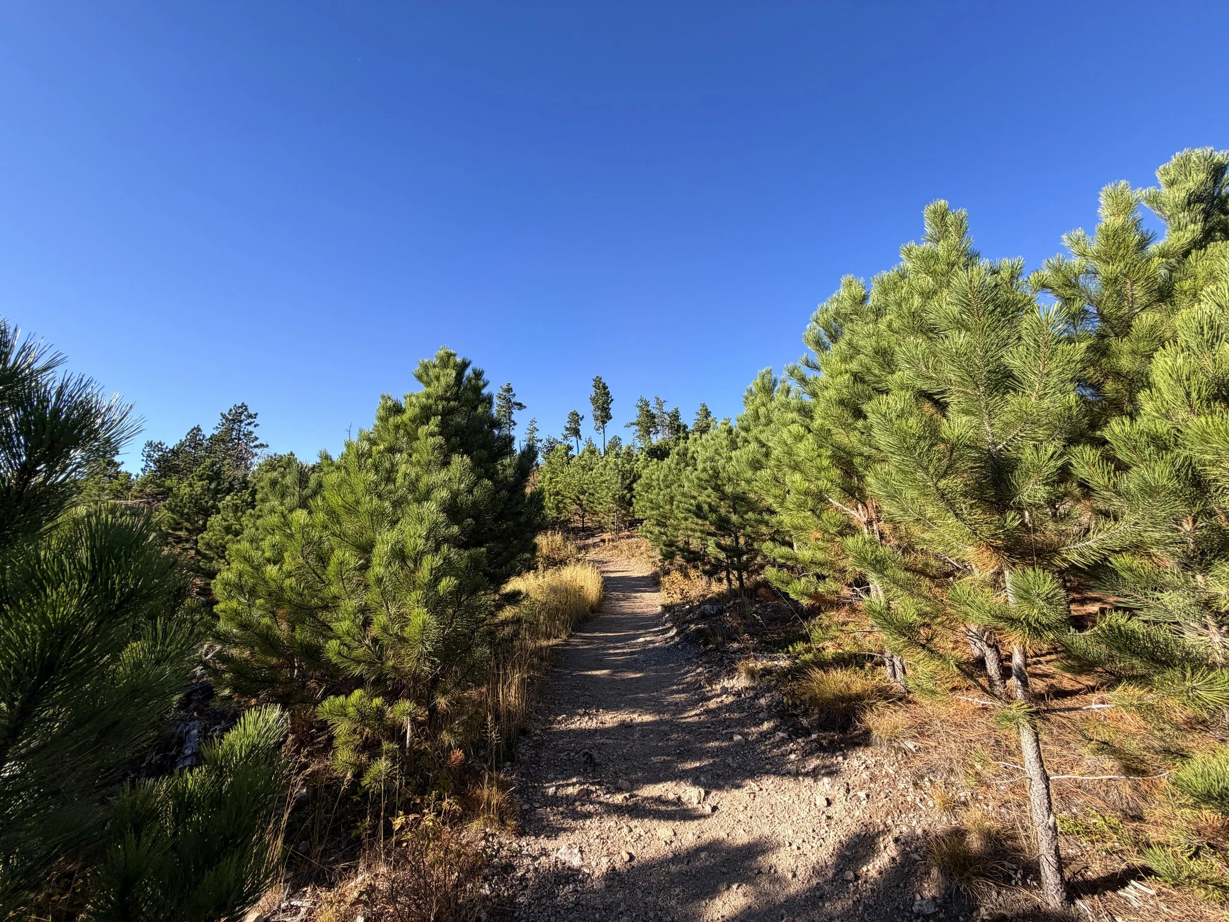 Little Devils Tower Hike Custer State Park Black Hills South Dakota