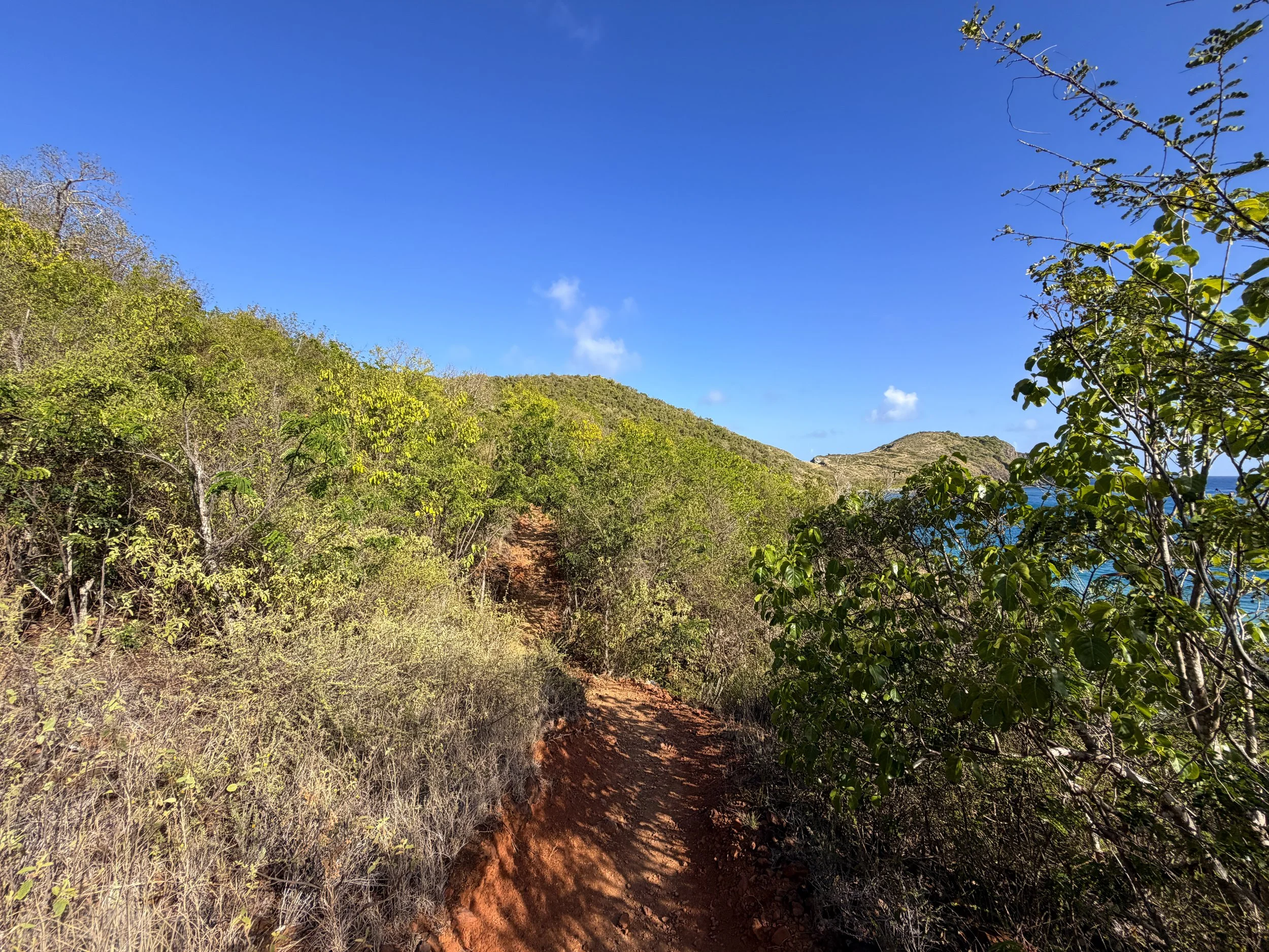 Ram Head Trail Virgin Islands National Park