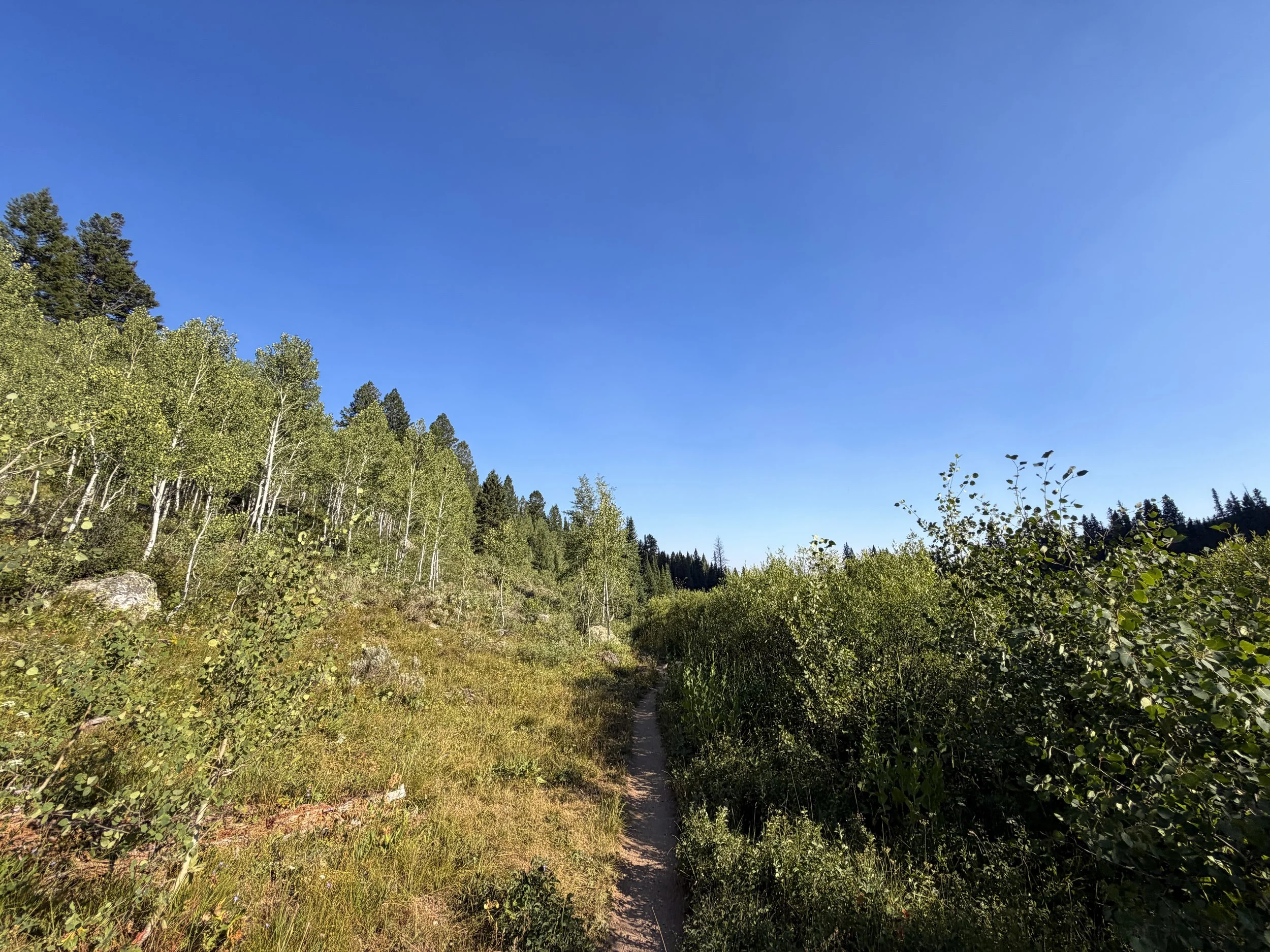 Moose Ponds Loop Trail Grand Teton National Park Wyoming