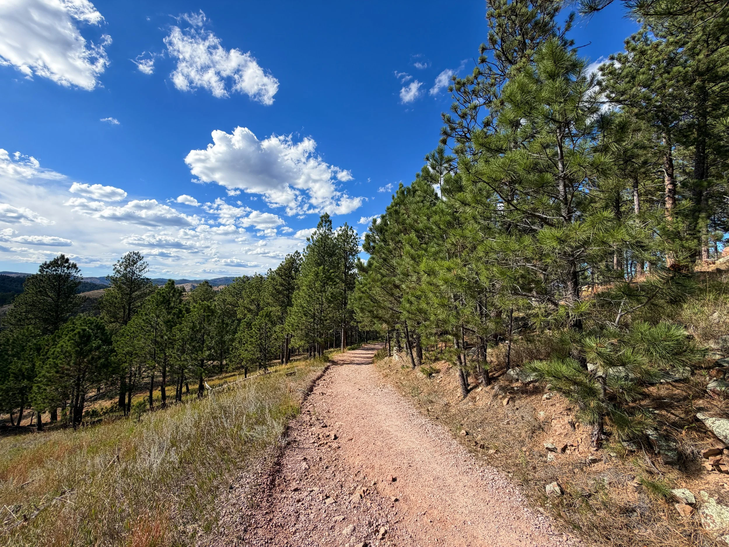 Rankin Ridge Trail Wind Cave National Park South Dakota