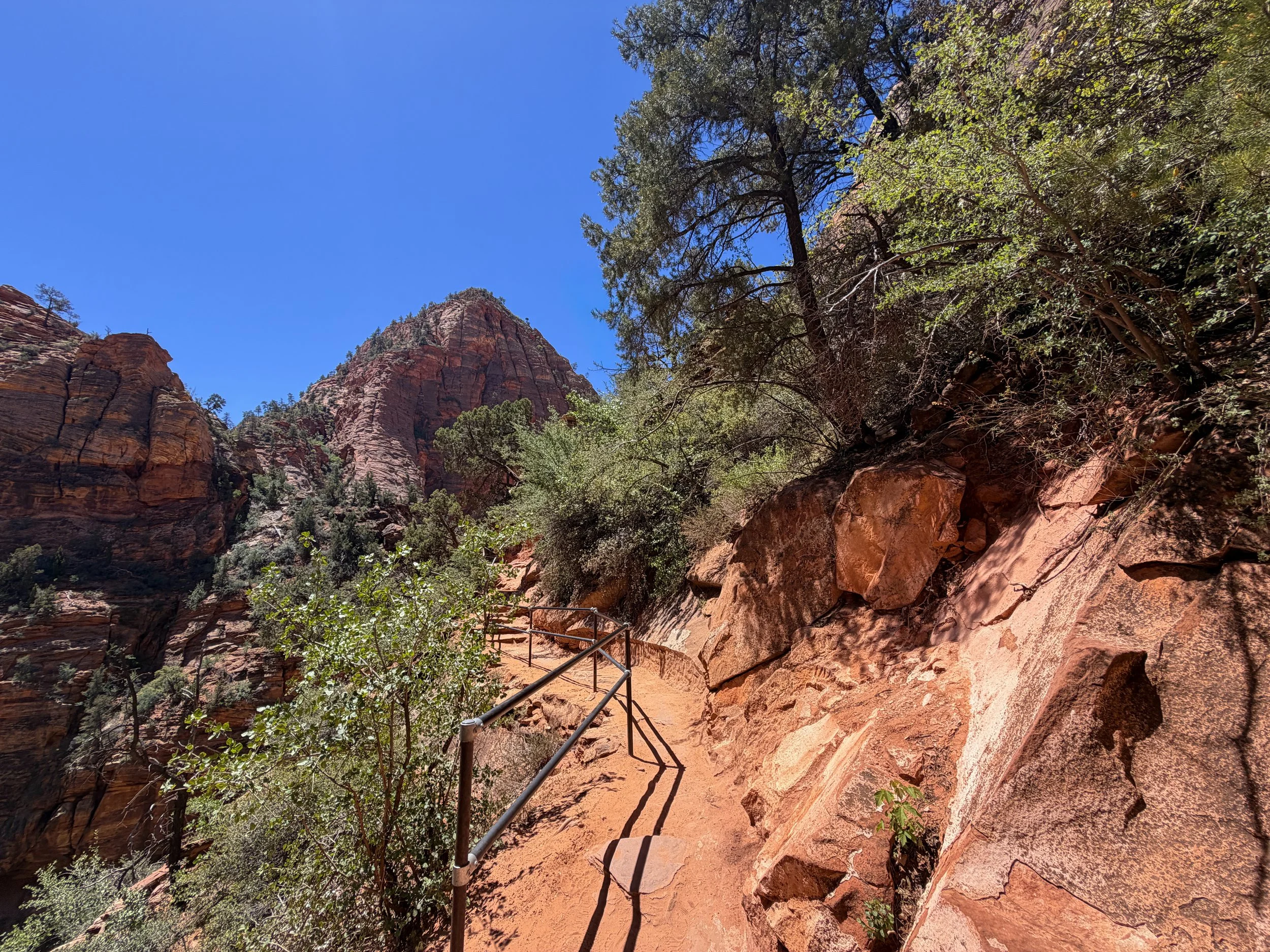 Canyon Overlook Hike Zion National Park Utah