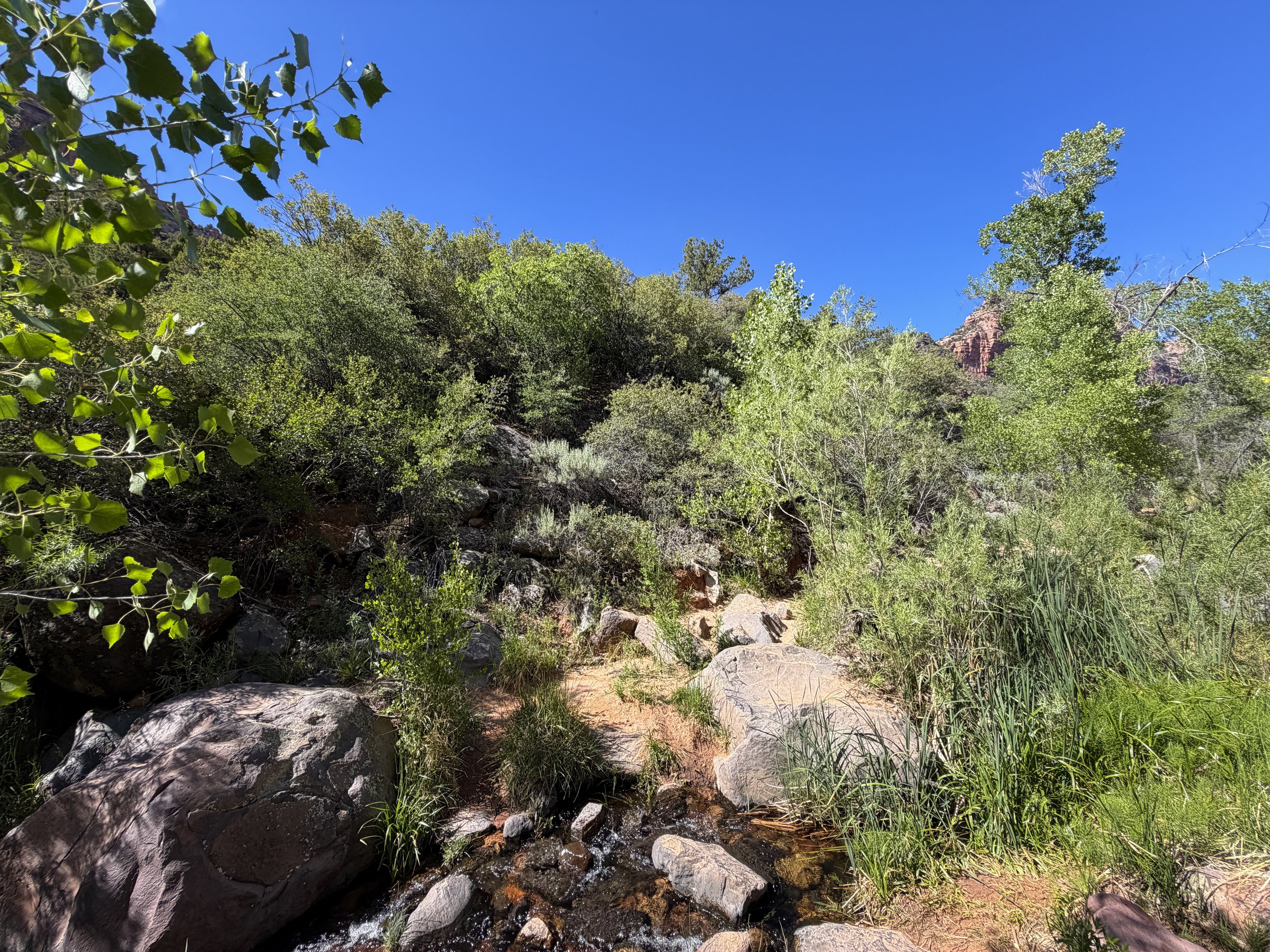 Subway Hike Bottom–Up Route Zion National Park Utah
