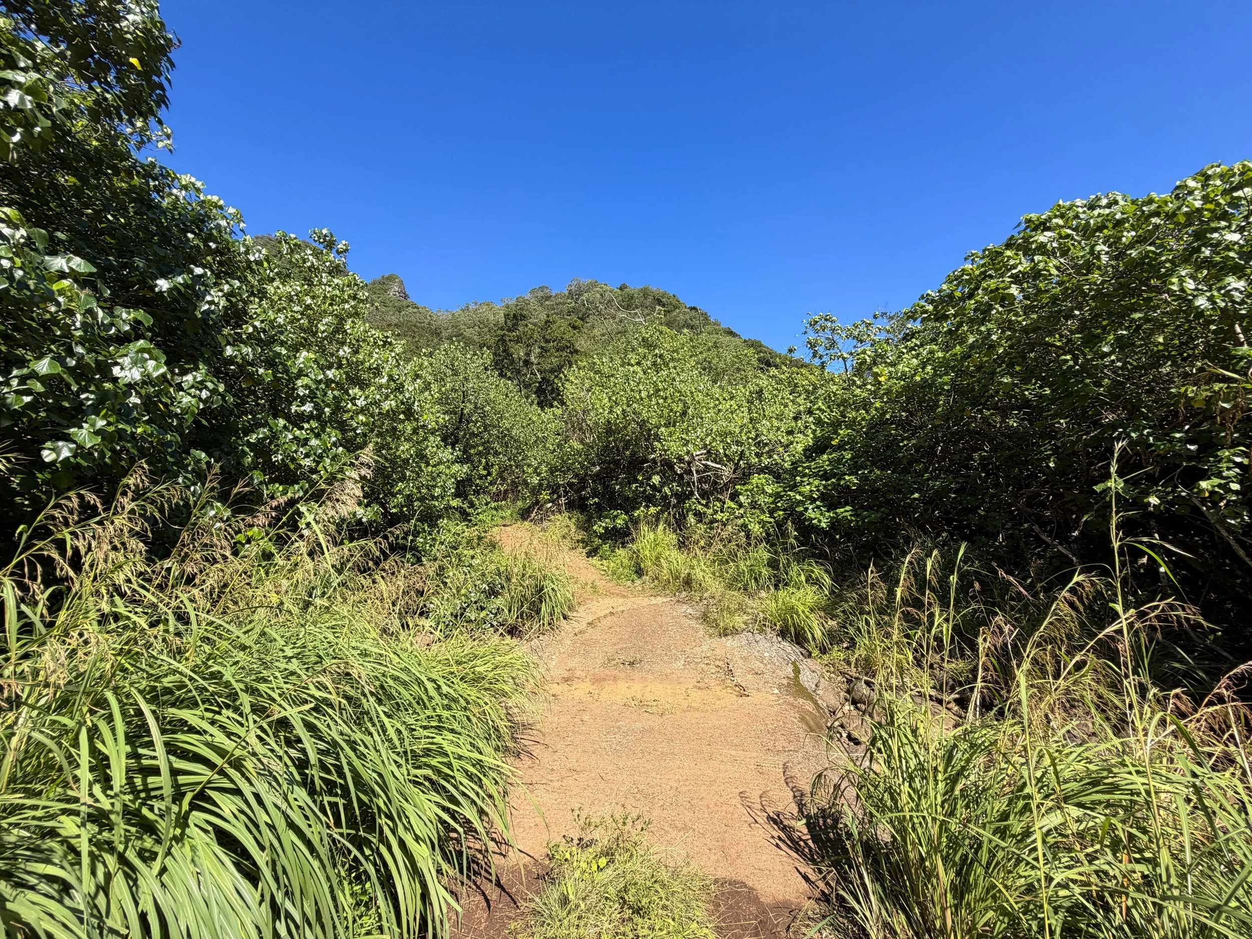 Kulanaahane Trail Moanalua Valley Oahu Hawaii