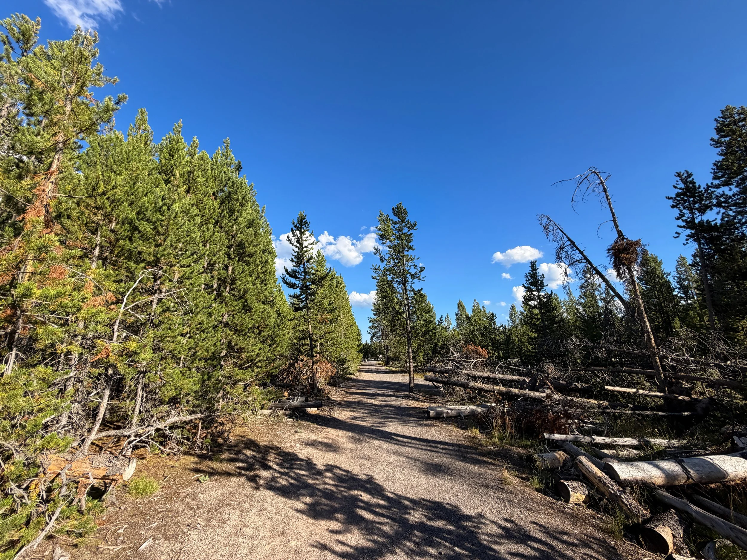 Biscuit Basin to the Morning Glory Pool Artemisia Trail Yellowstone National Park Wyoming
