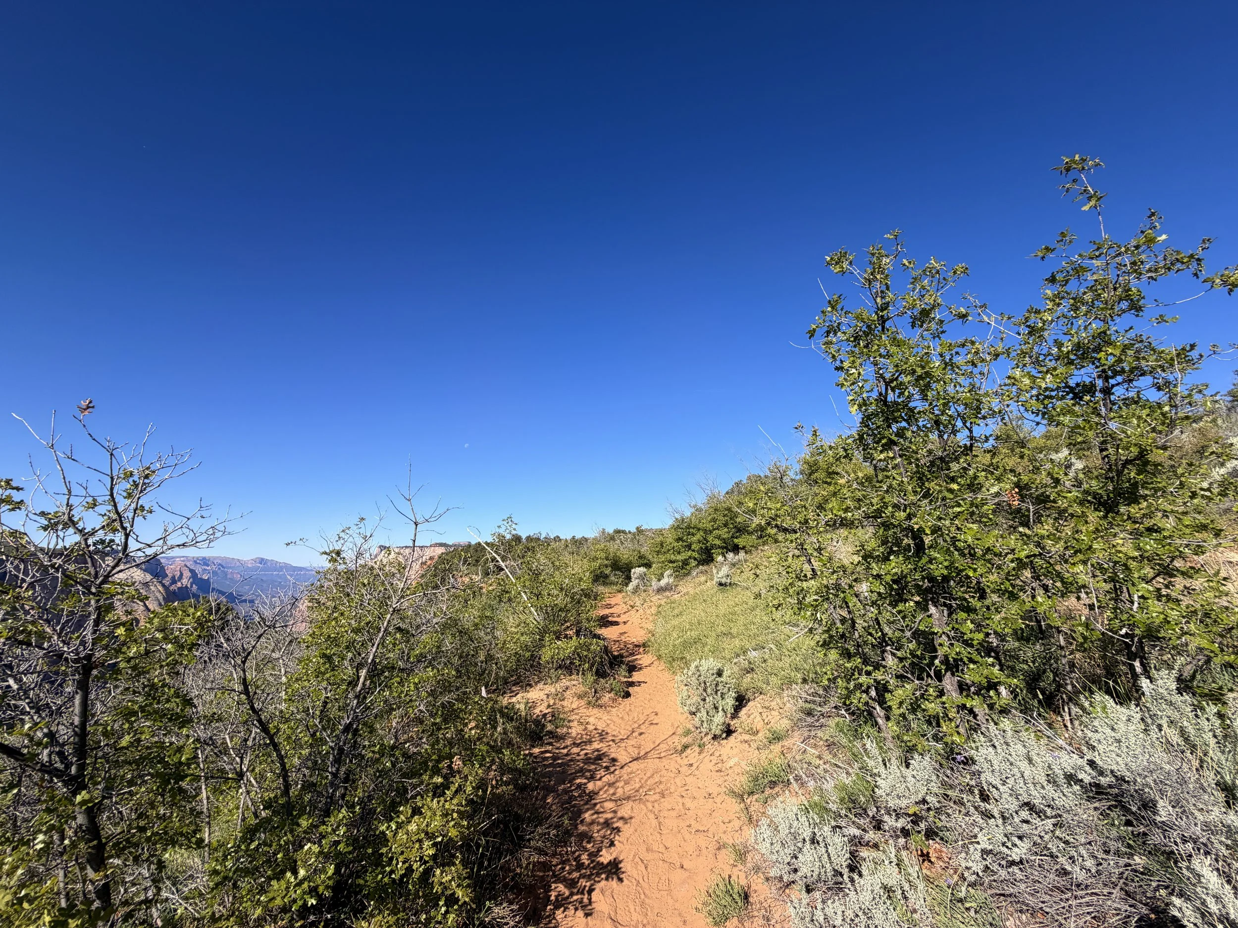 Observation Point Trail Zion National Park Utah
