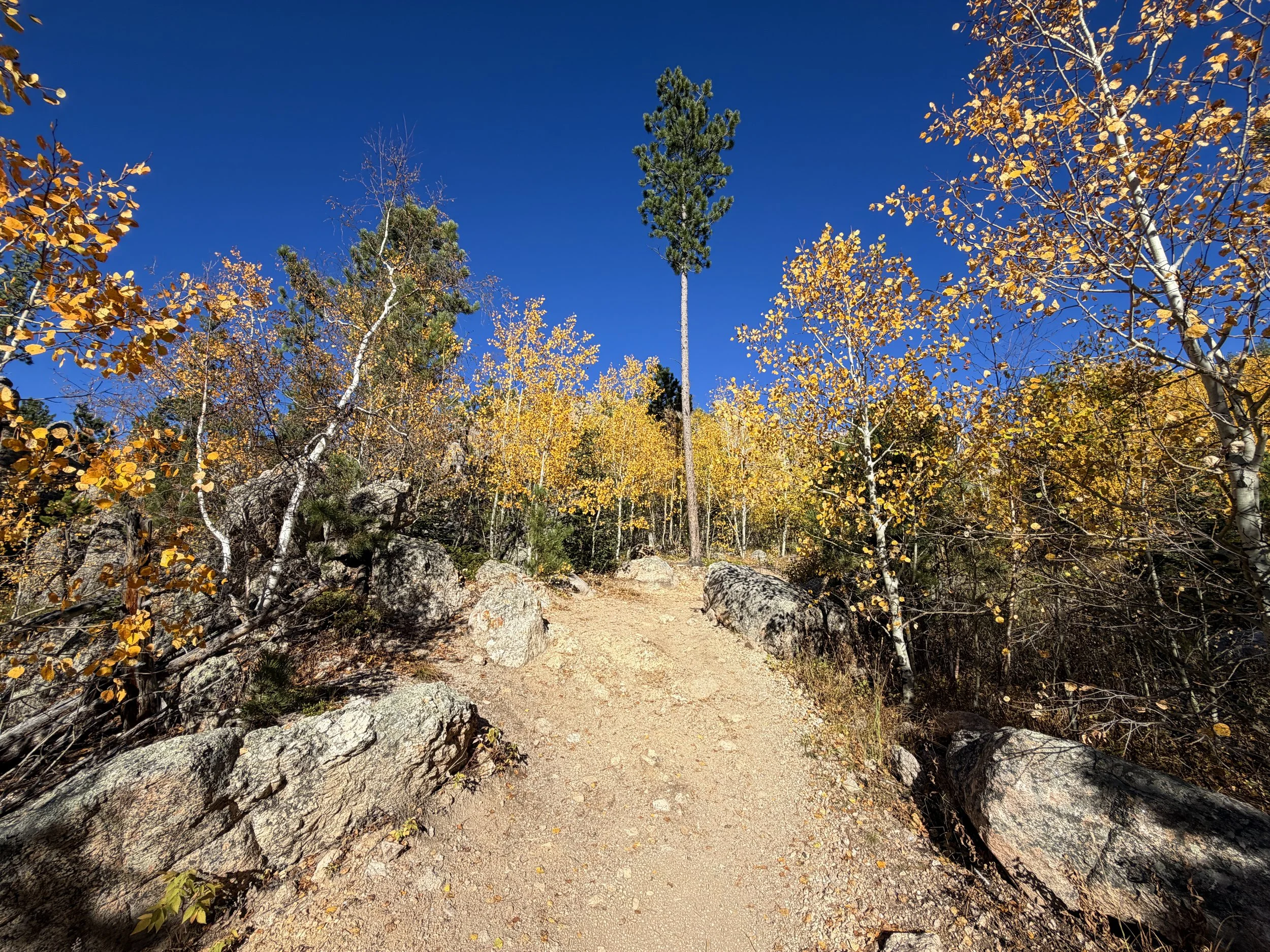 Little Devils Tower Trail Fall Colors Custer State Park Black Hills South Dakota