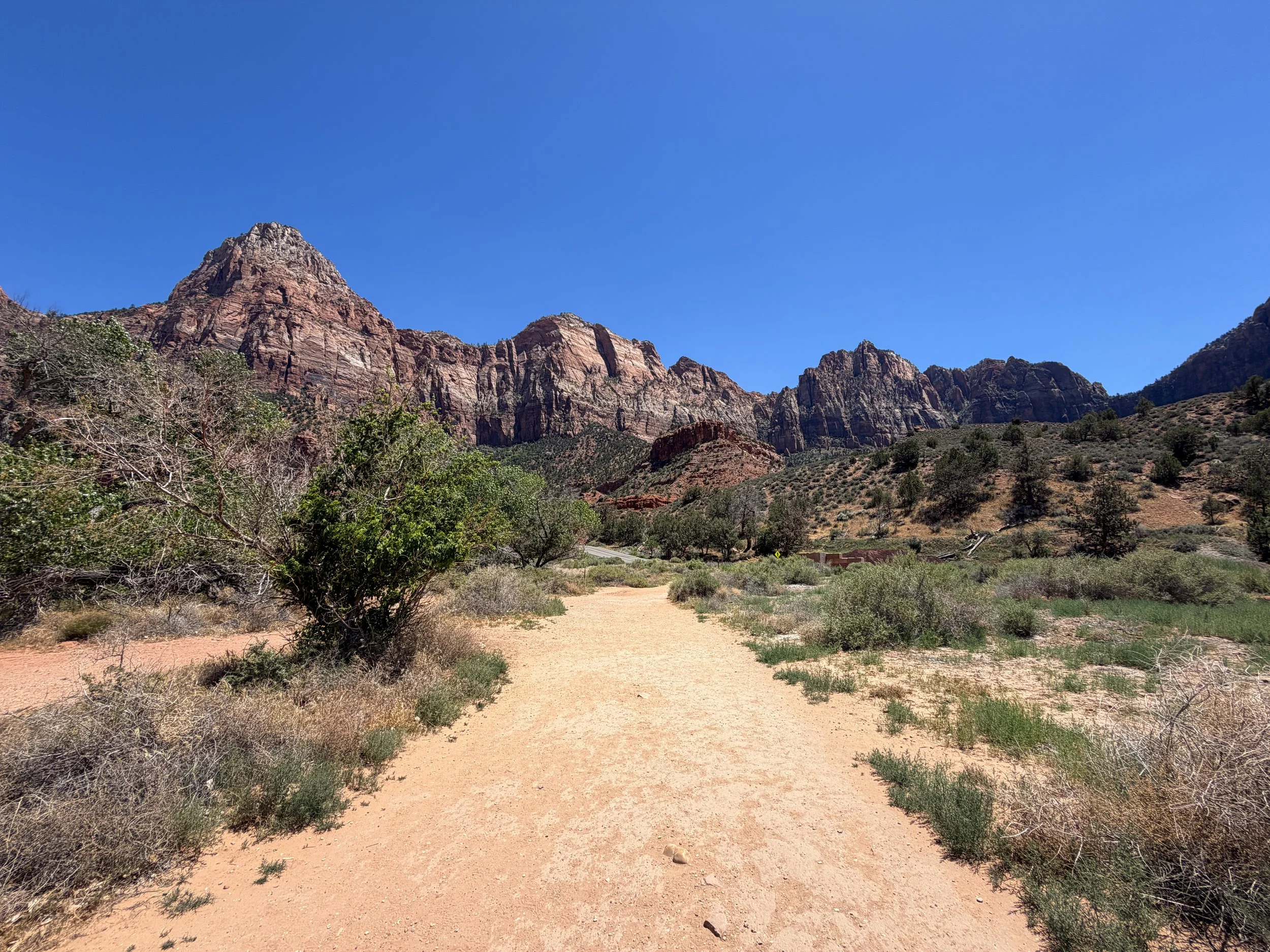 Watchman Trail Zion National Park Utah