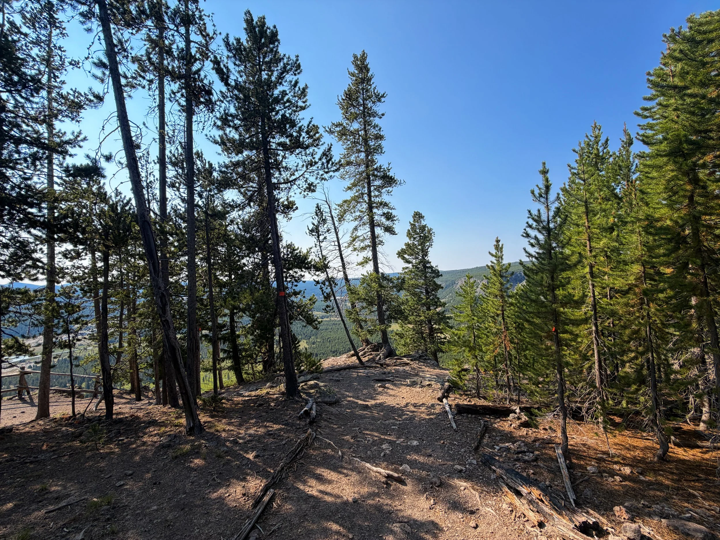 Biscuit Basin Overlook Mystic Falls Loop Trail Yellowstone National Park Wyoming