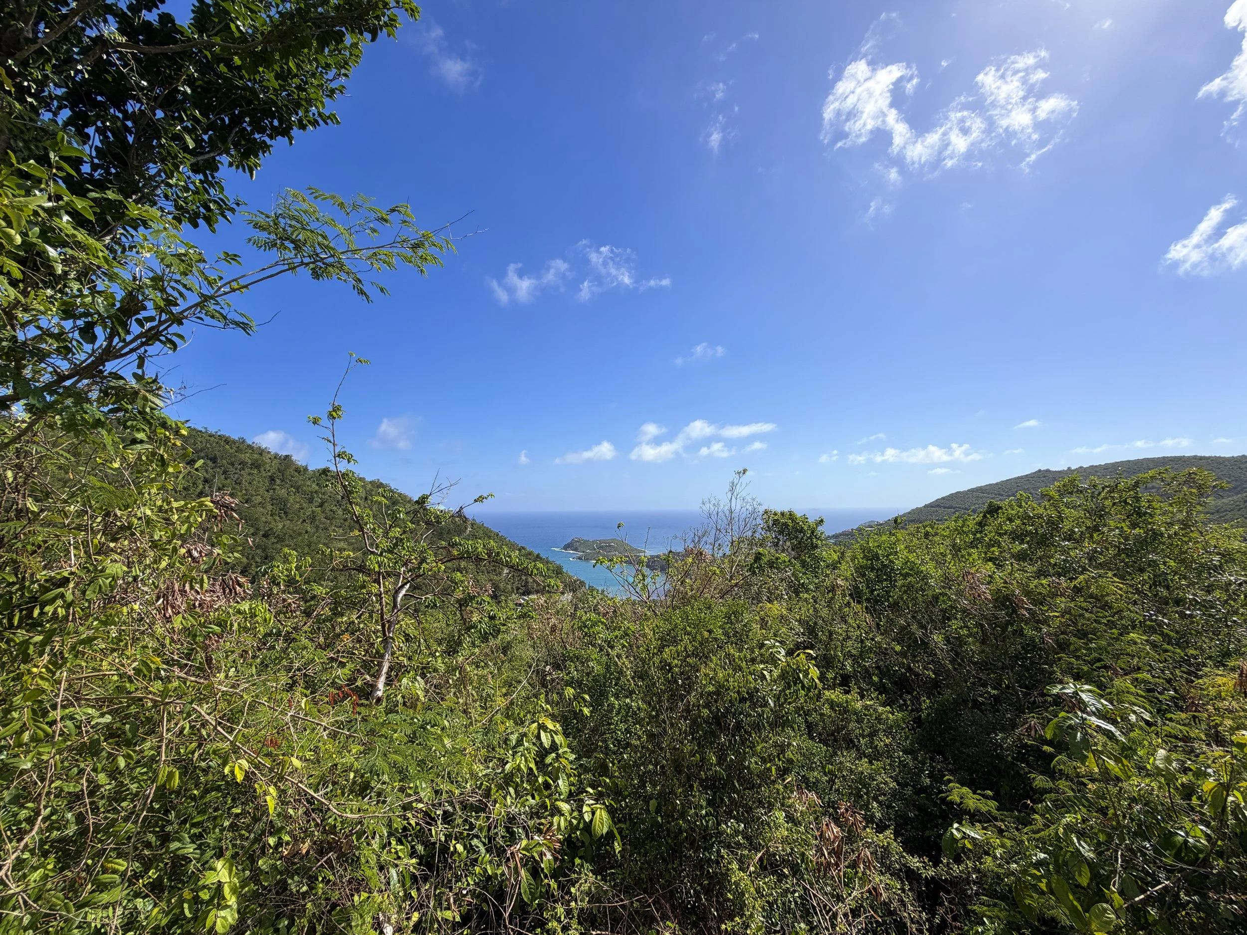 Great Sieben Trail Viewpoint Virgin Islands National Park