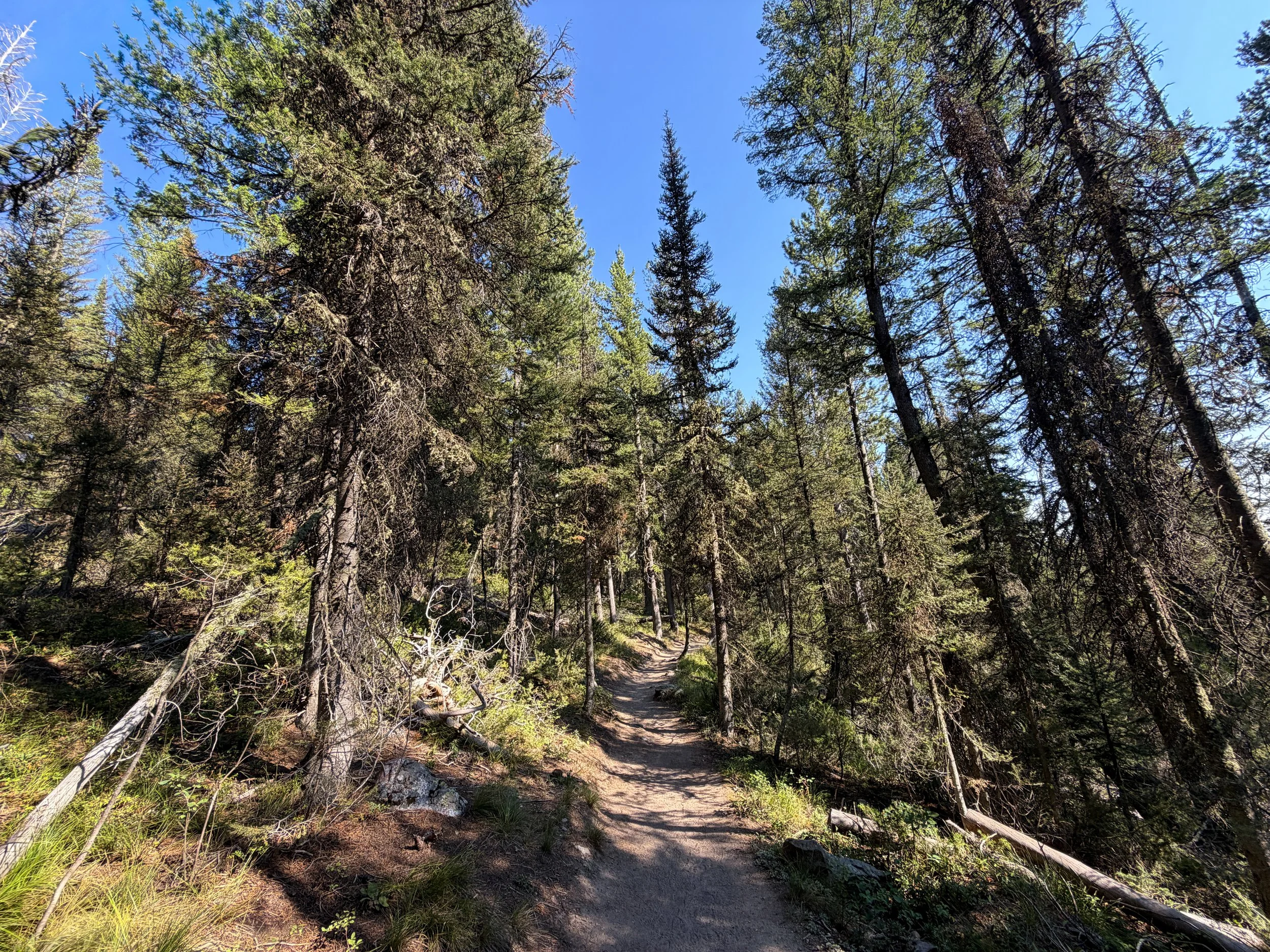 Jenny Lake Loop Trail Grand Teton National Park Wyoming