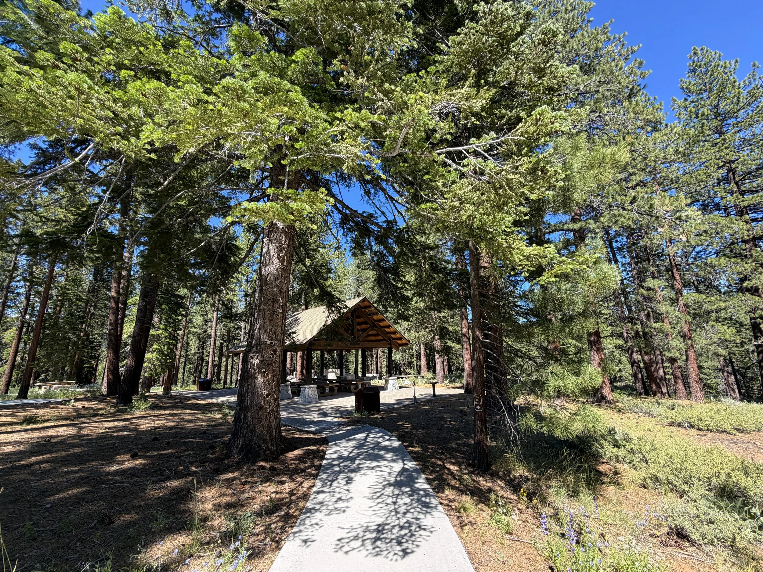 Spooner Lake Loop Trail Lake Tahoe Nevada