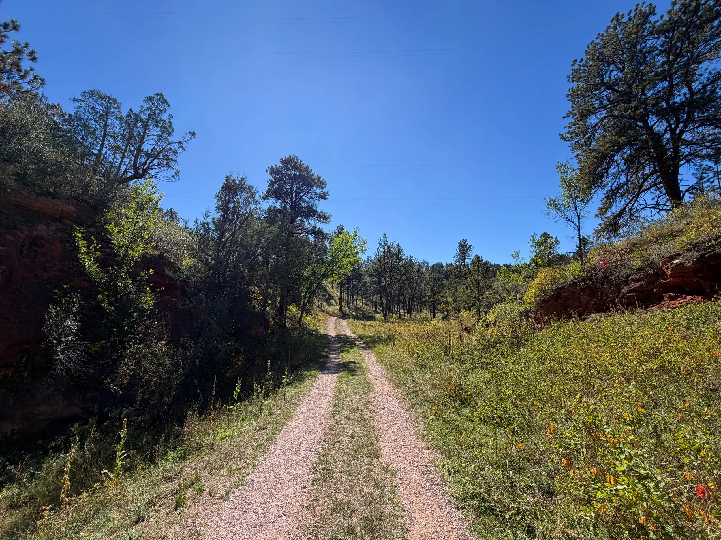 Wind Cave Canyon Trail Wind Cave National Park South Dakota