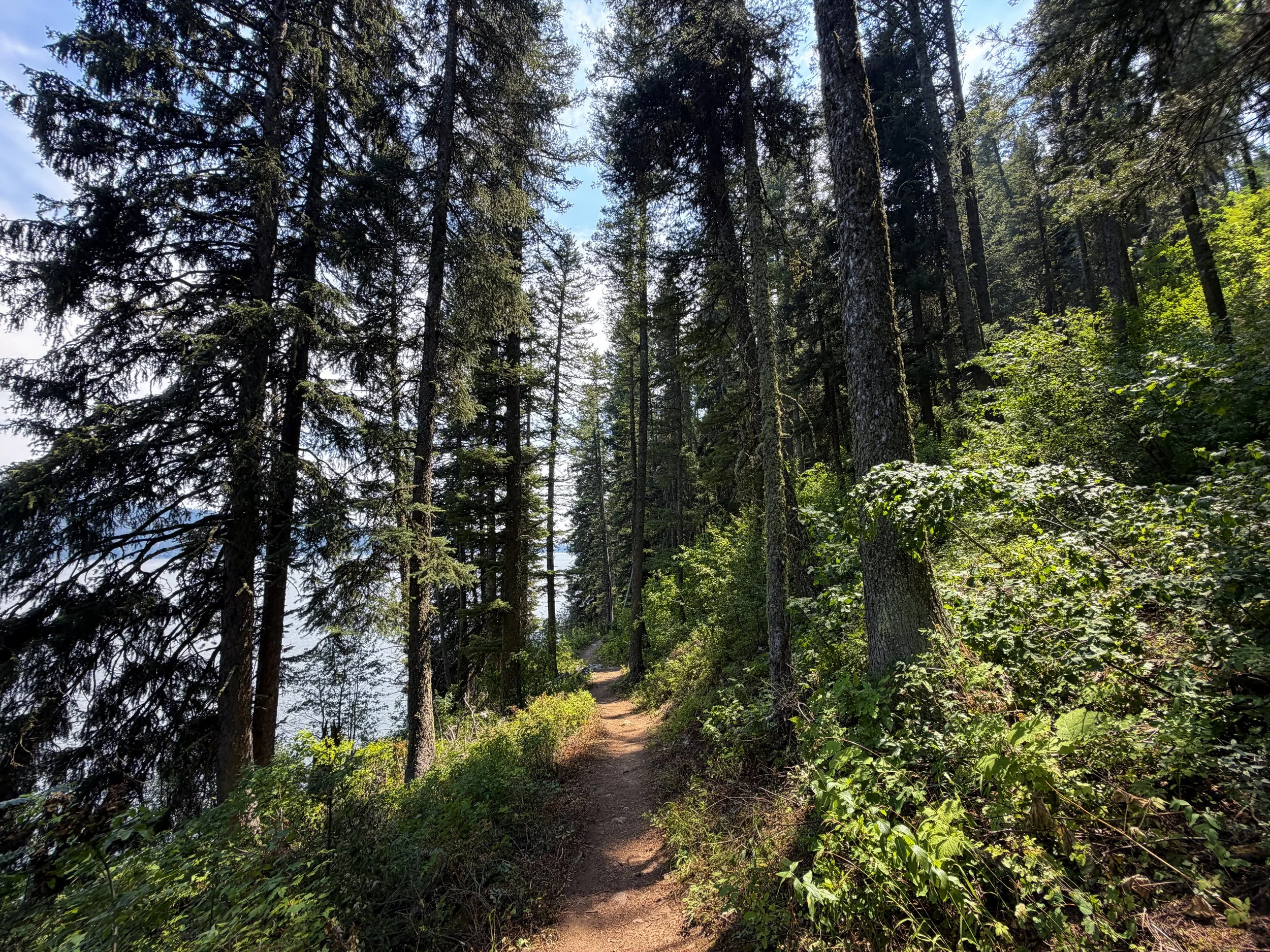 Phelps Lake Trail Grand Teton National Park Wyoming