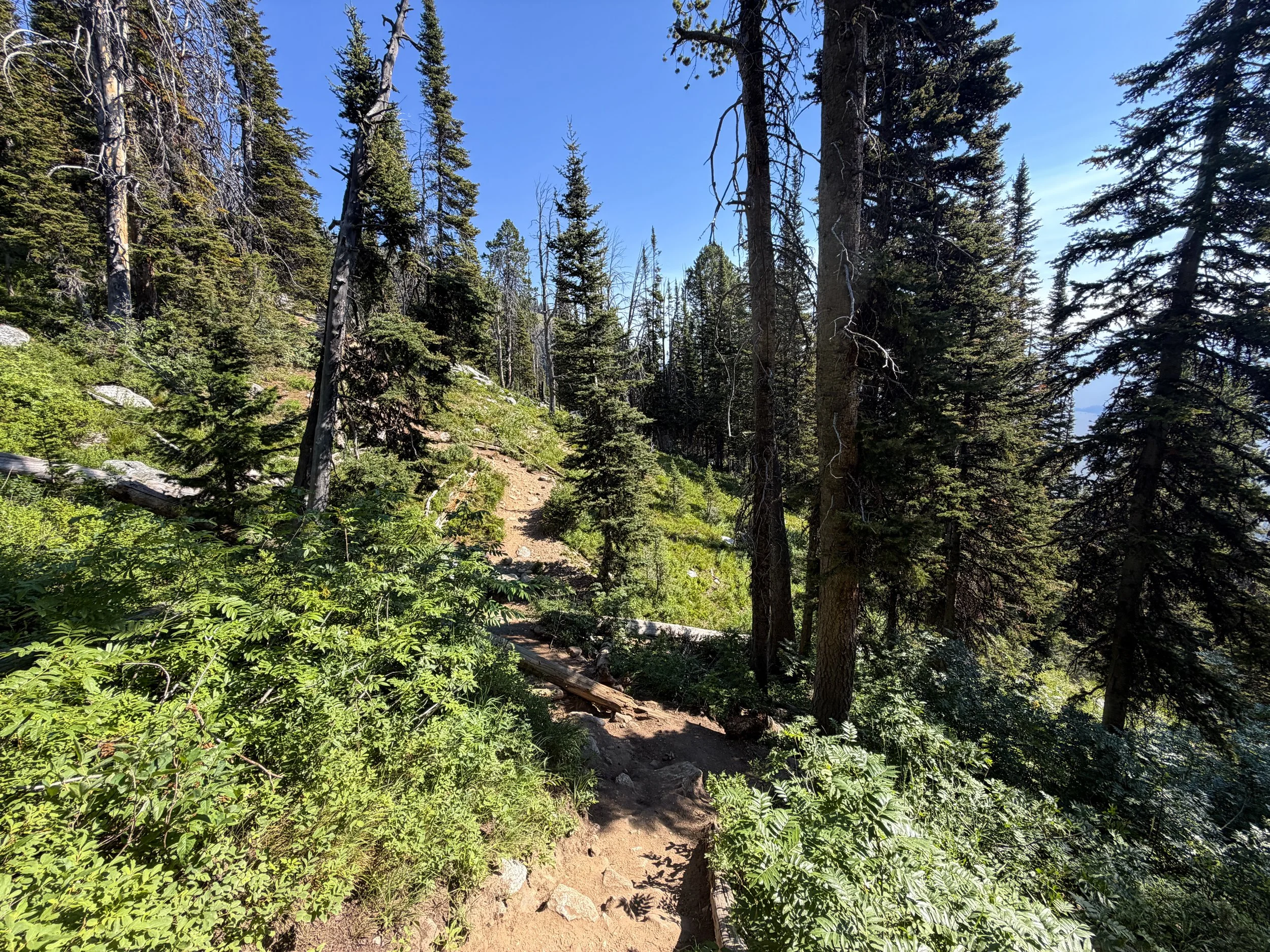 Delta Lake Trail Grand Teton National Park Wyoming