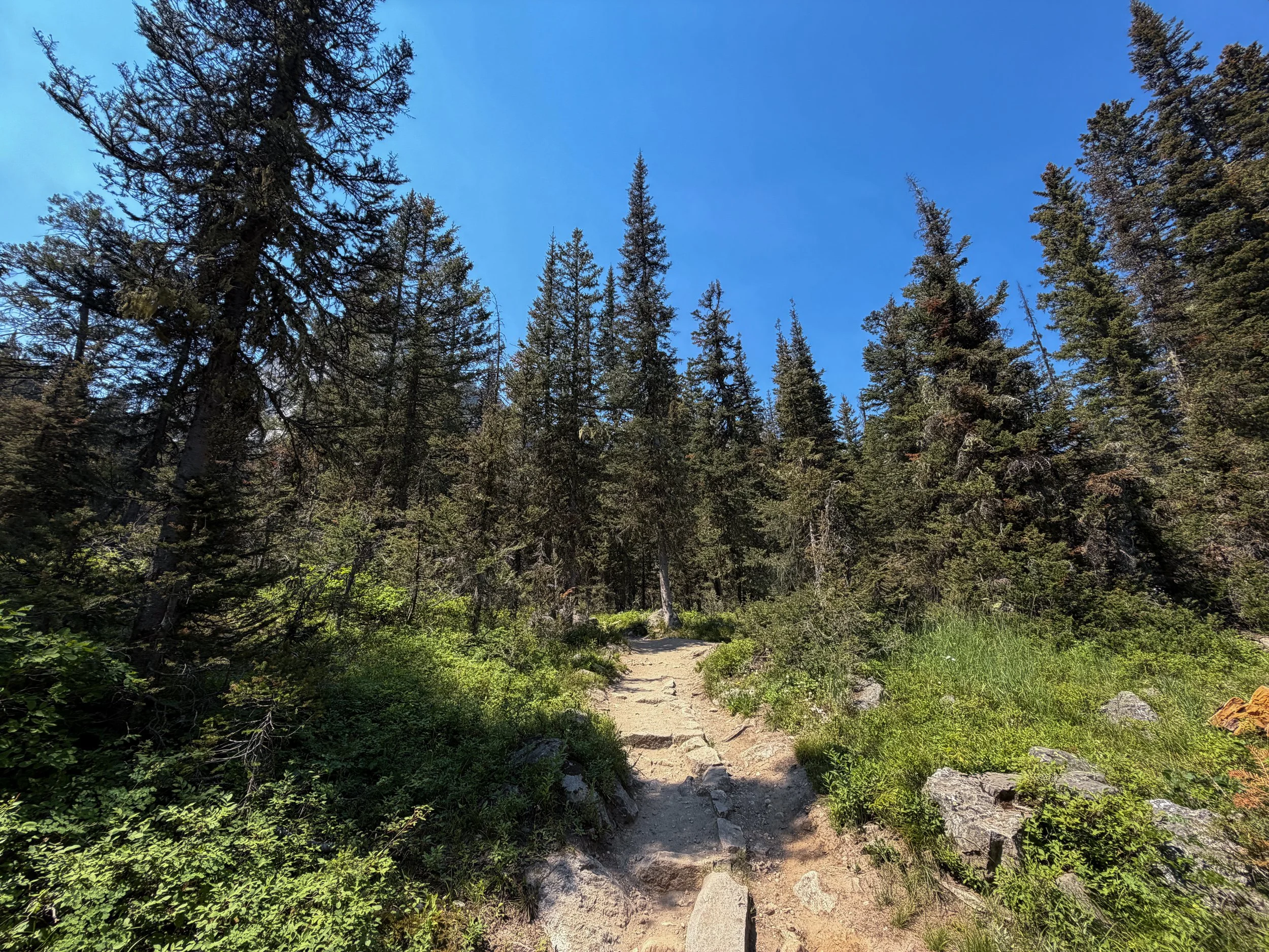 Cascade Canyon Trail Grand Teton National Park Wyoming