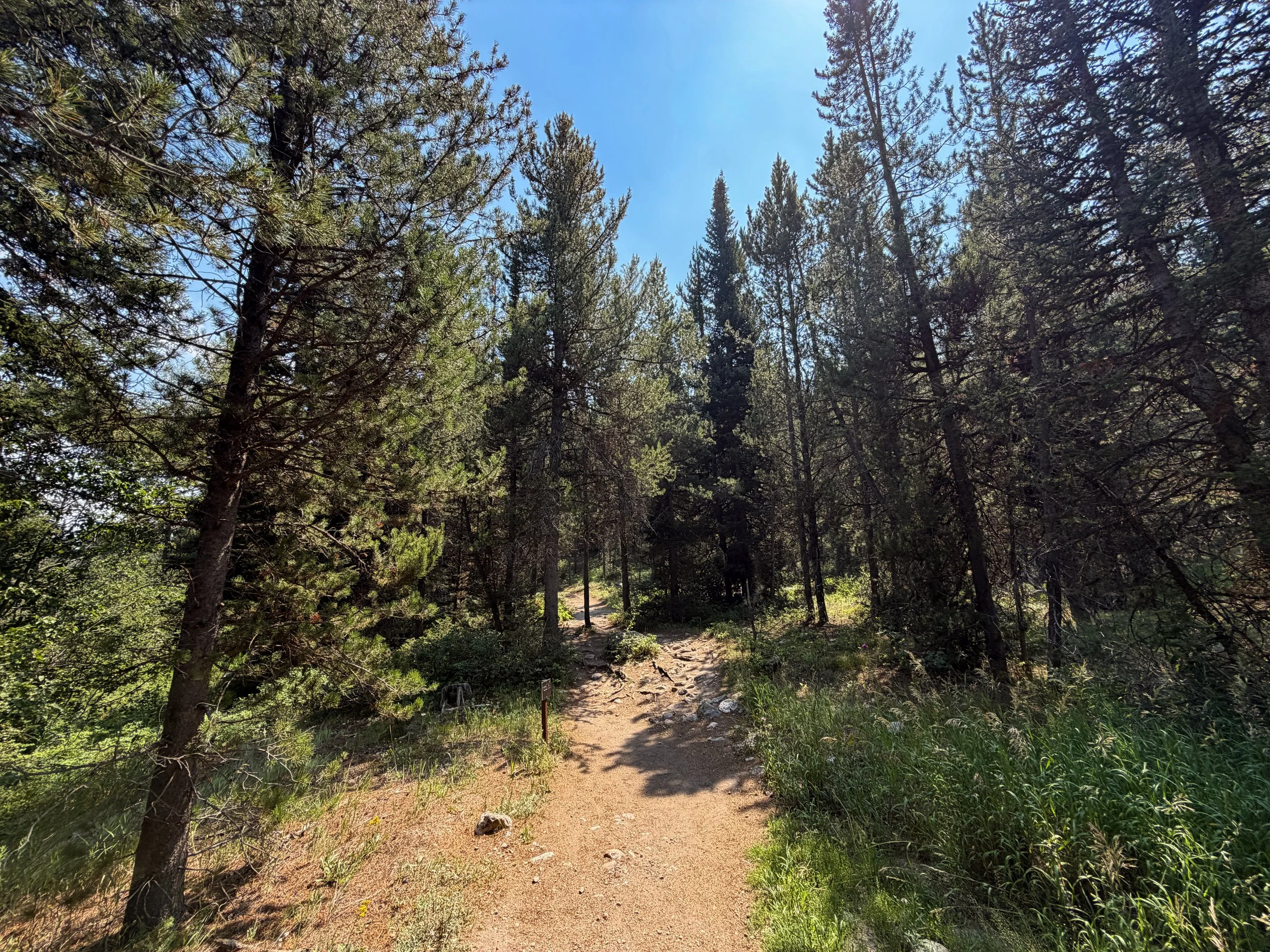 Phelps Lake Loop Trail Grand Teton National Park Wyoming