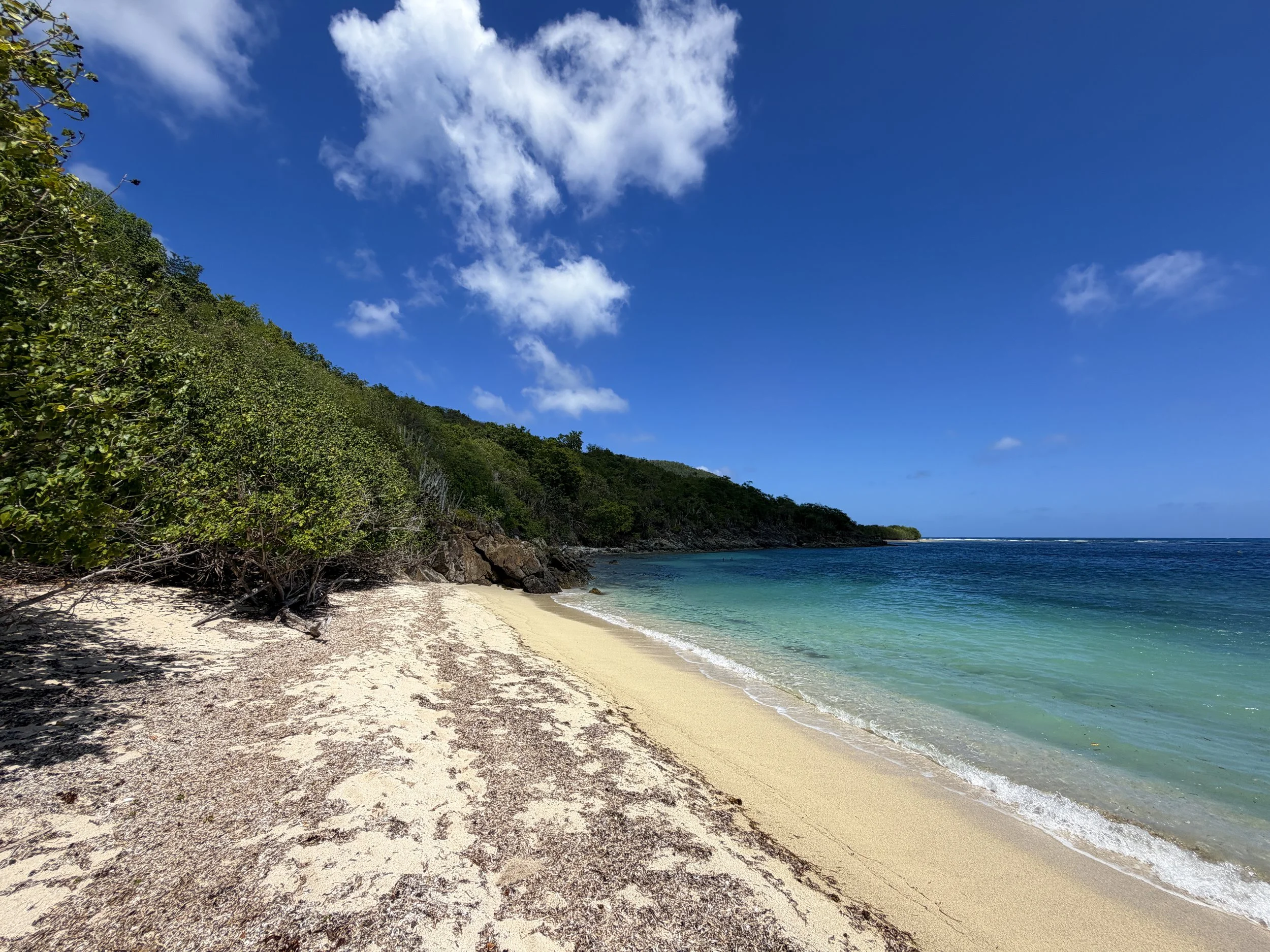 Genti Bay Beach L'Esperance Trail Virgin Islands National Park