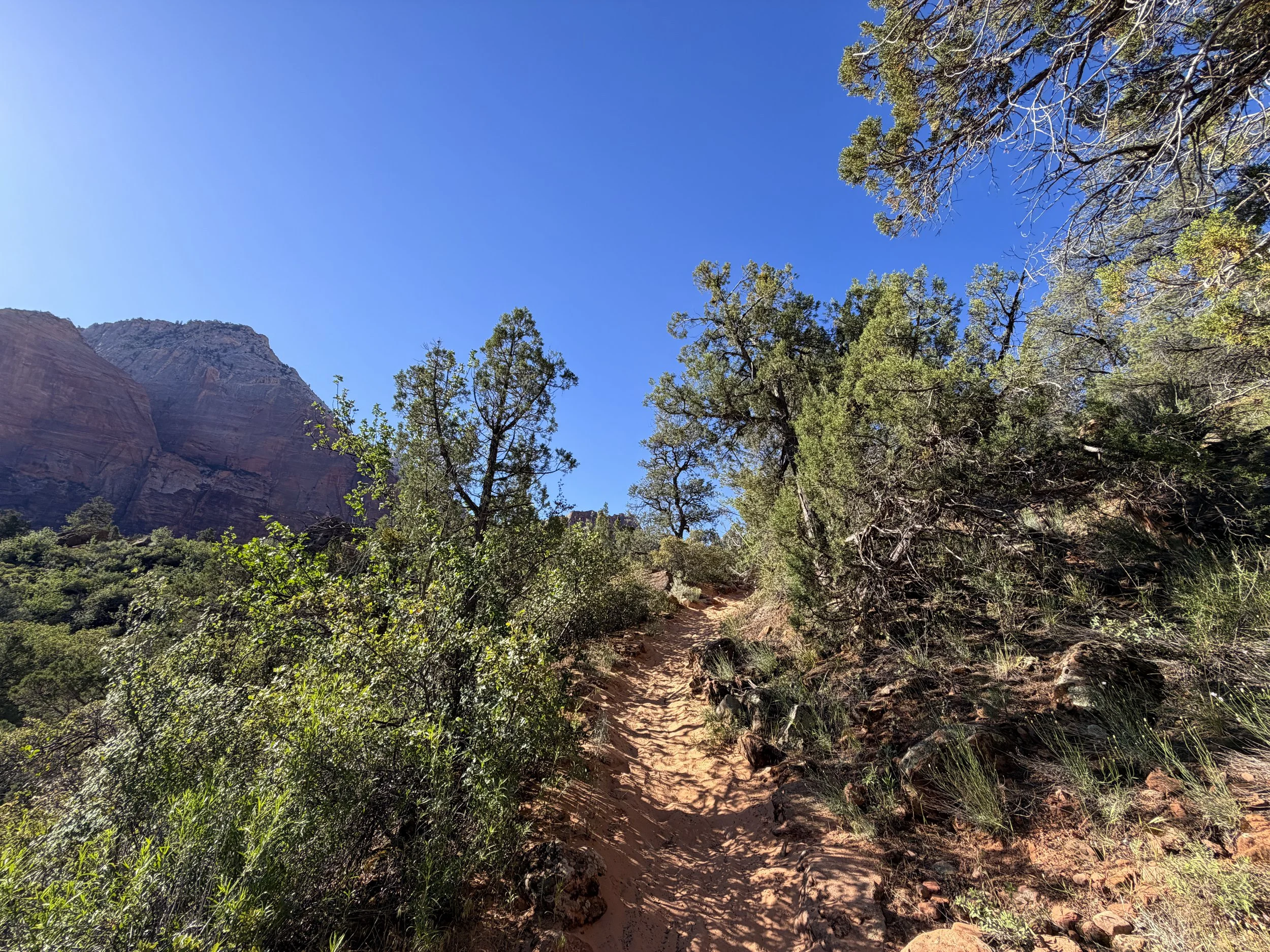 Sand Bench Loop Trail Zion National Park Utah