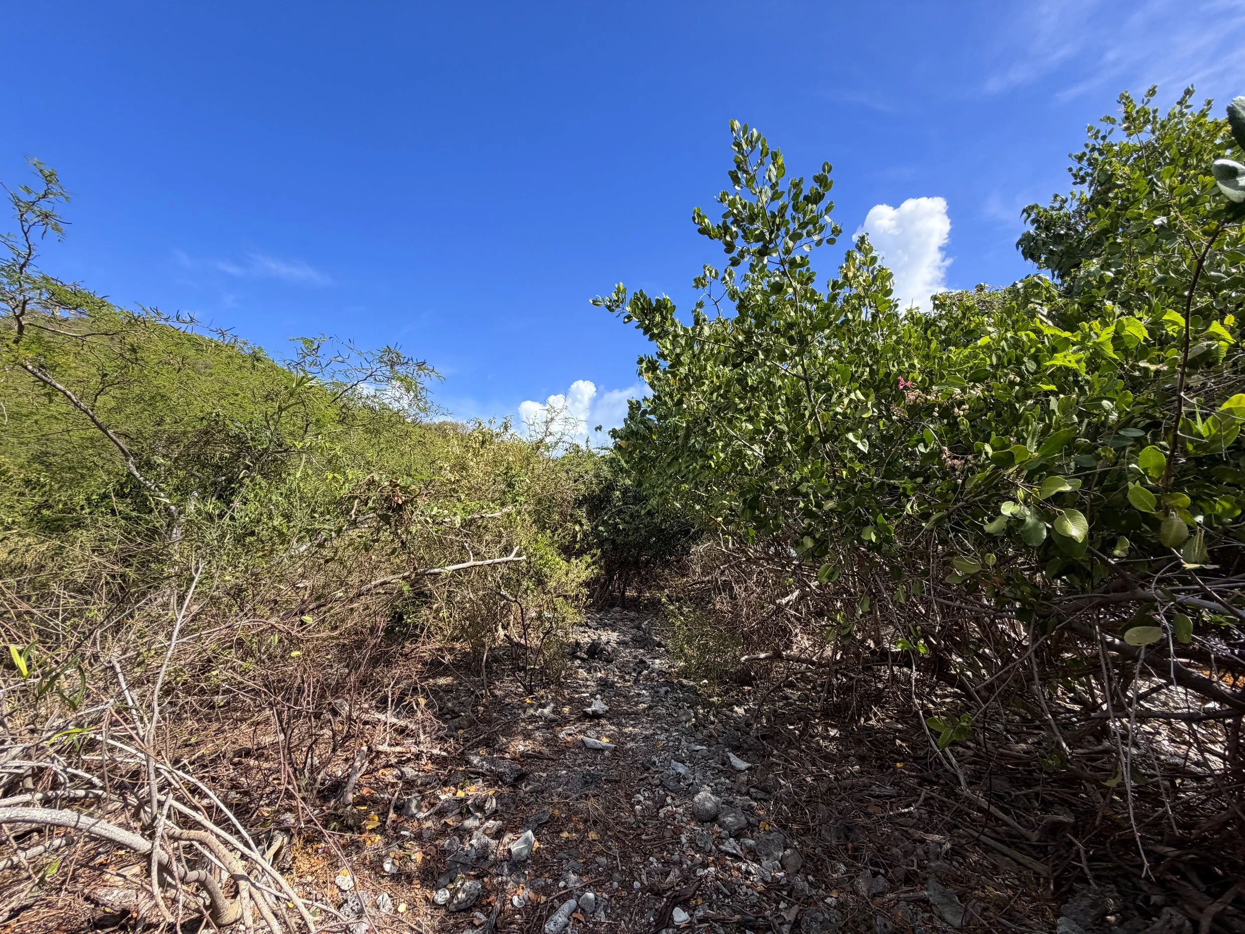 Brown Bay Beach Virgin Islands National Park