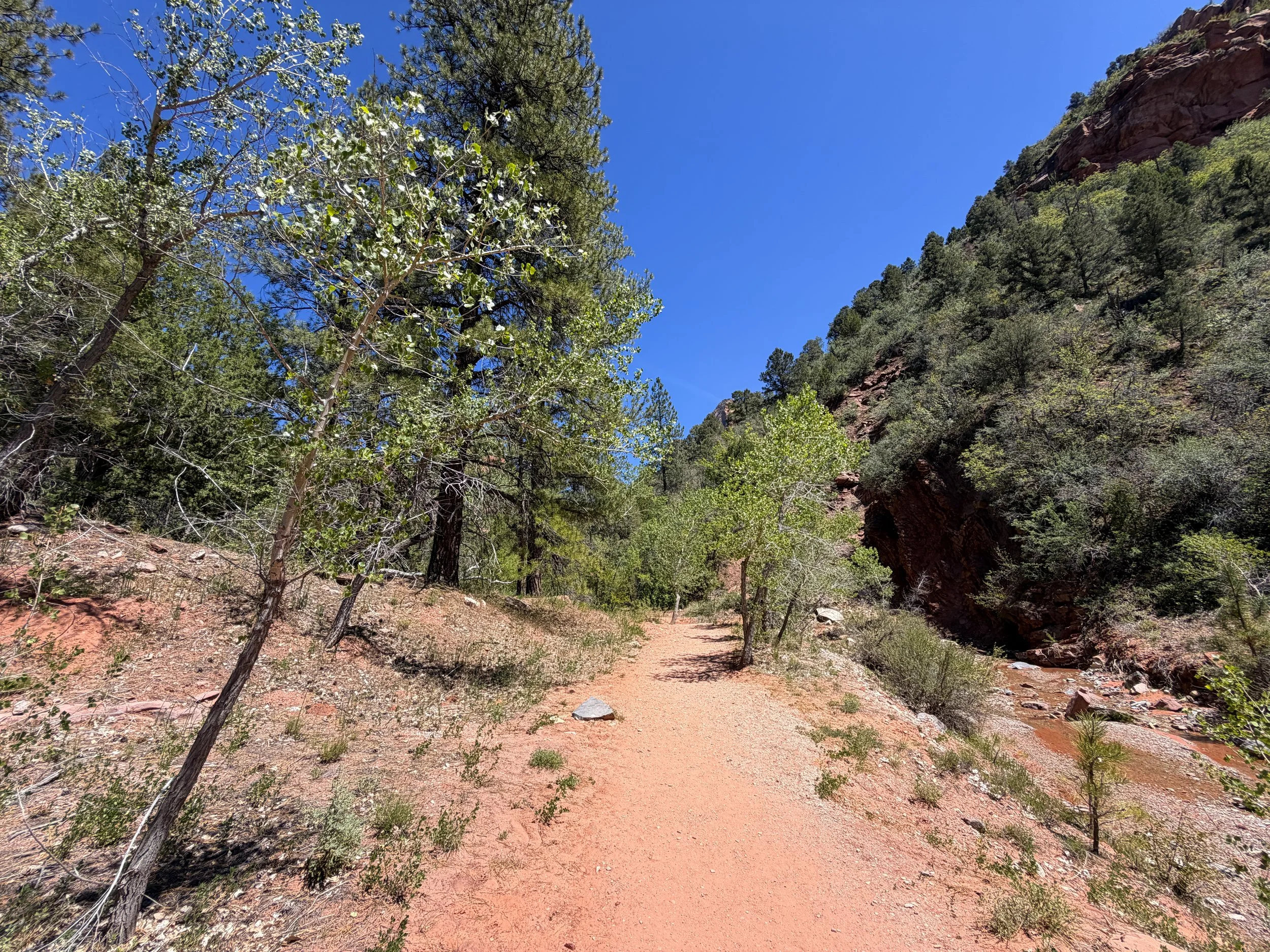 Middle Taylor Creek Trail Zion National Park Utah
