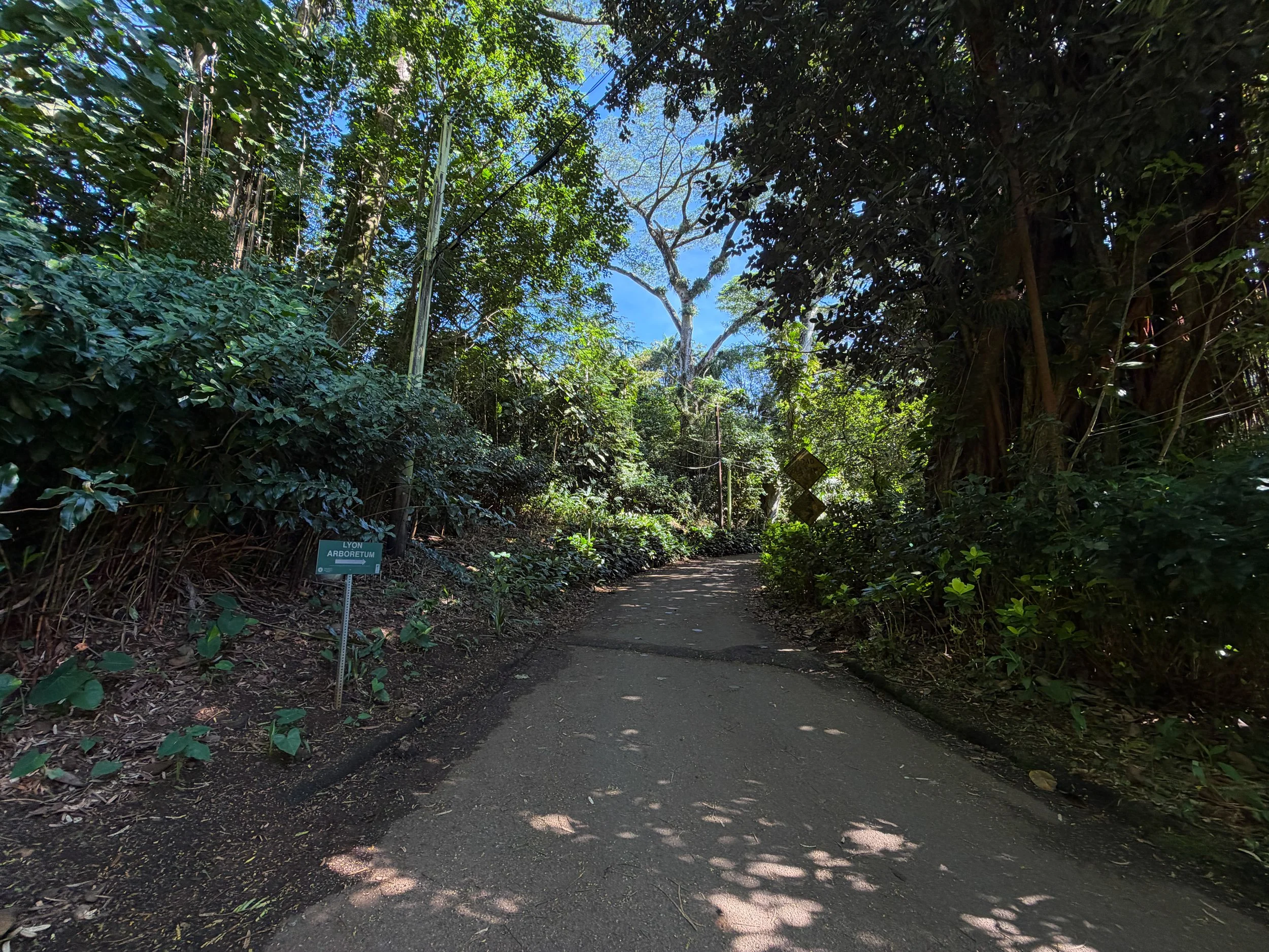 Manoa Falls Trailhead Oahu Hawaii