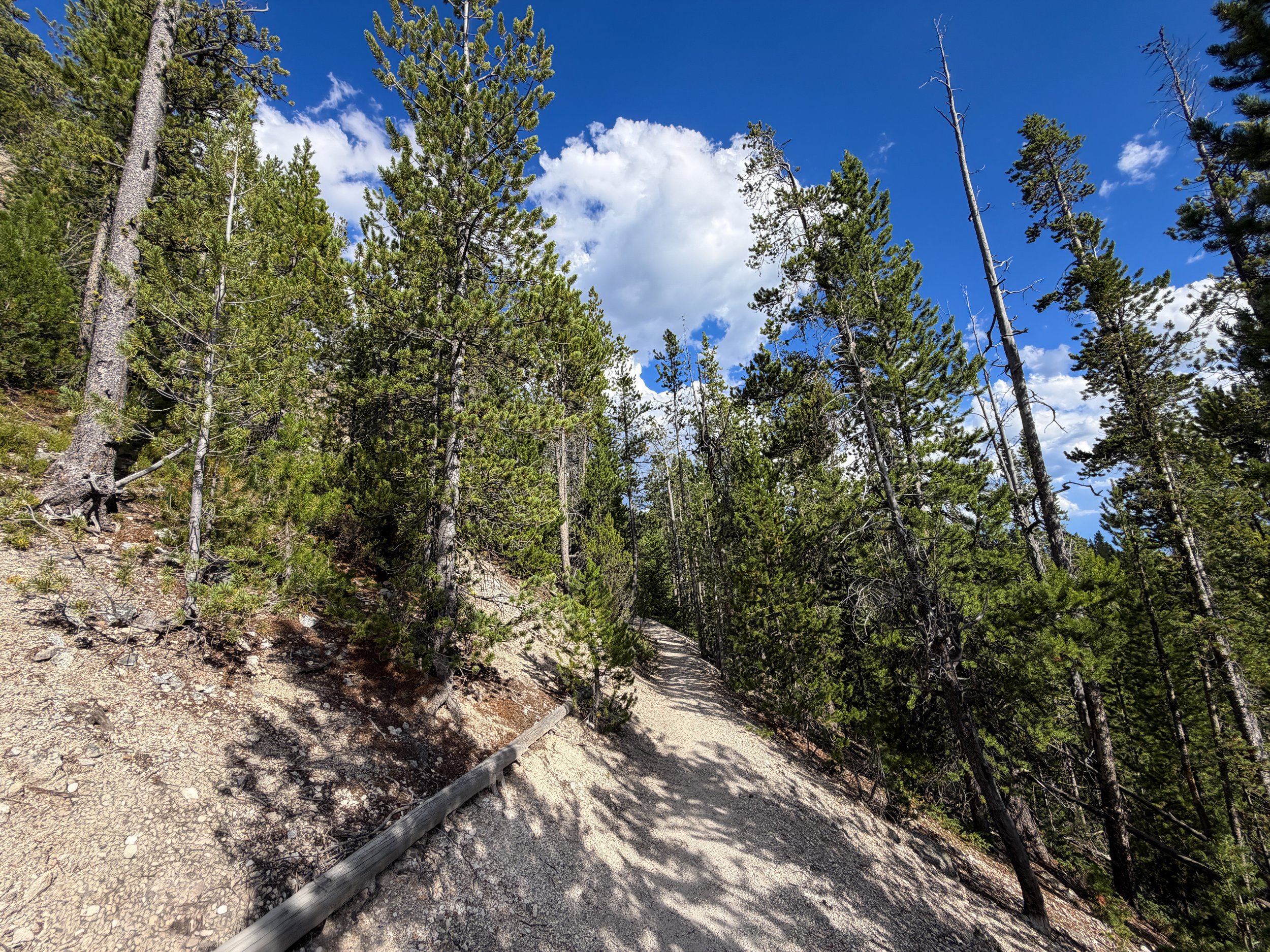 North Rim Trail Yellowstone National Park Wyoming