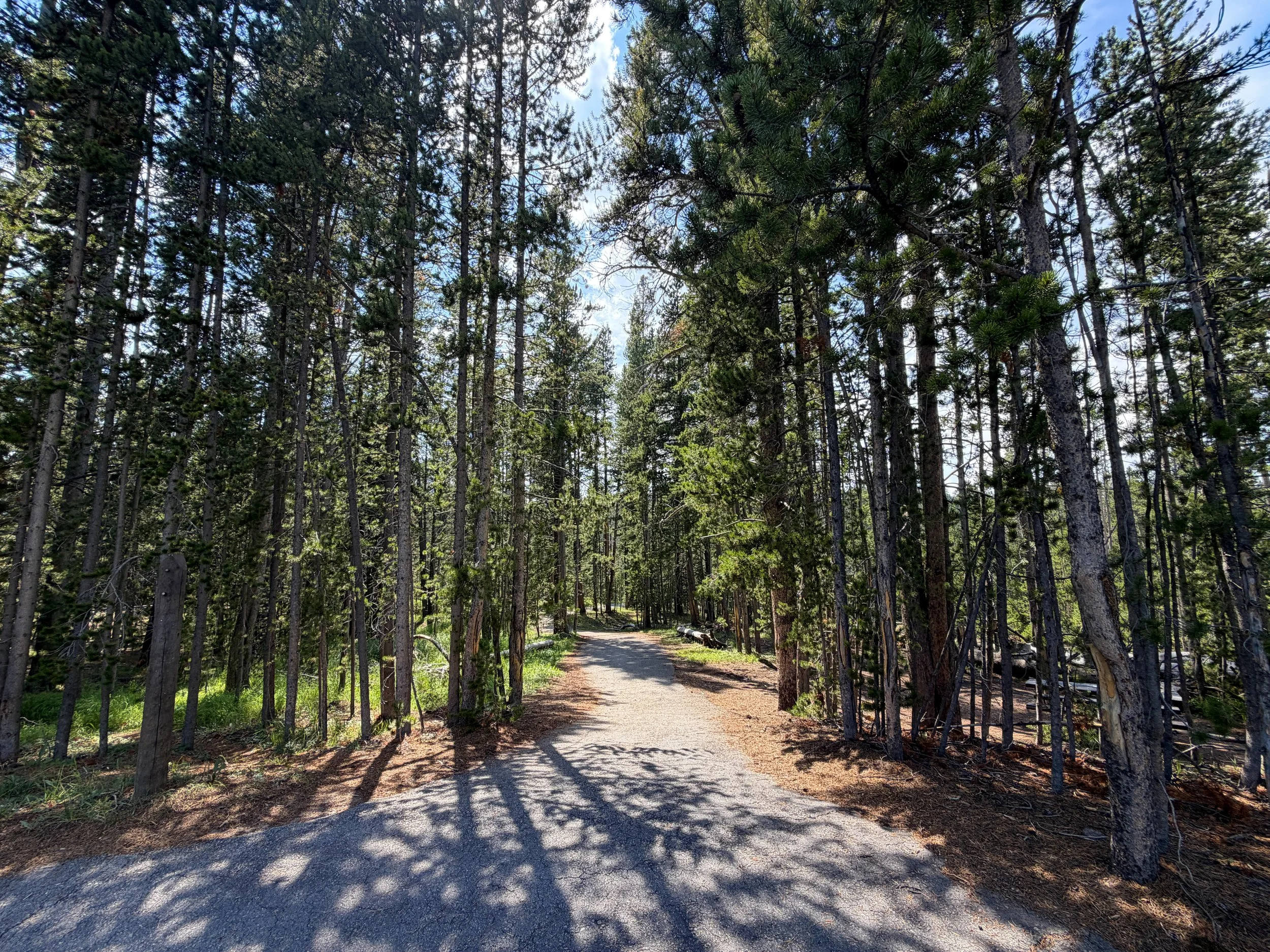 North Rim Trailhead Yellowstone National Park Wyoming