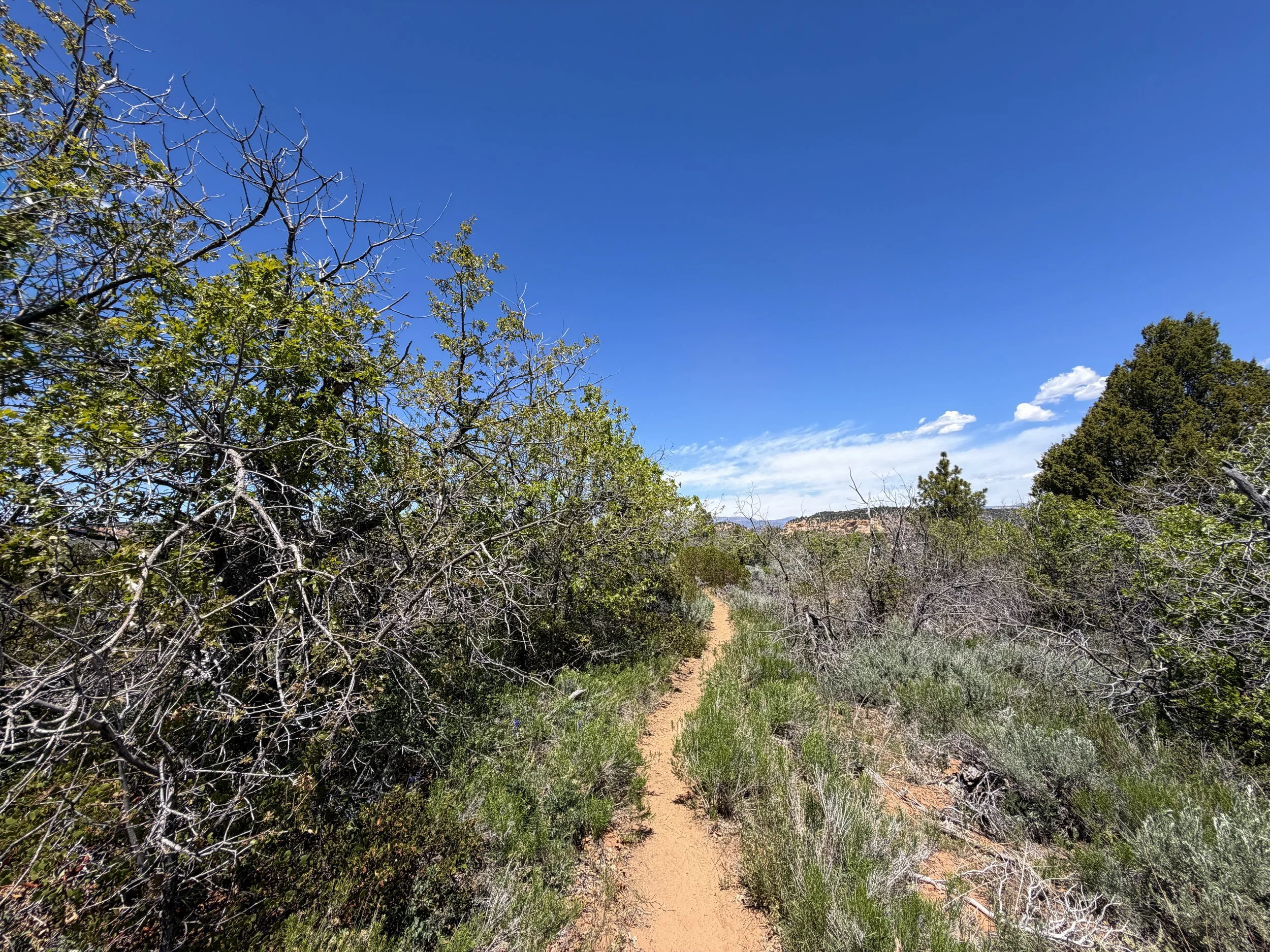 Cable Mountain Trail Zion National Park Utah