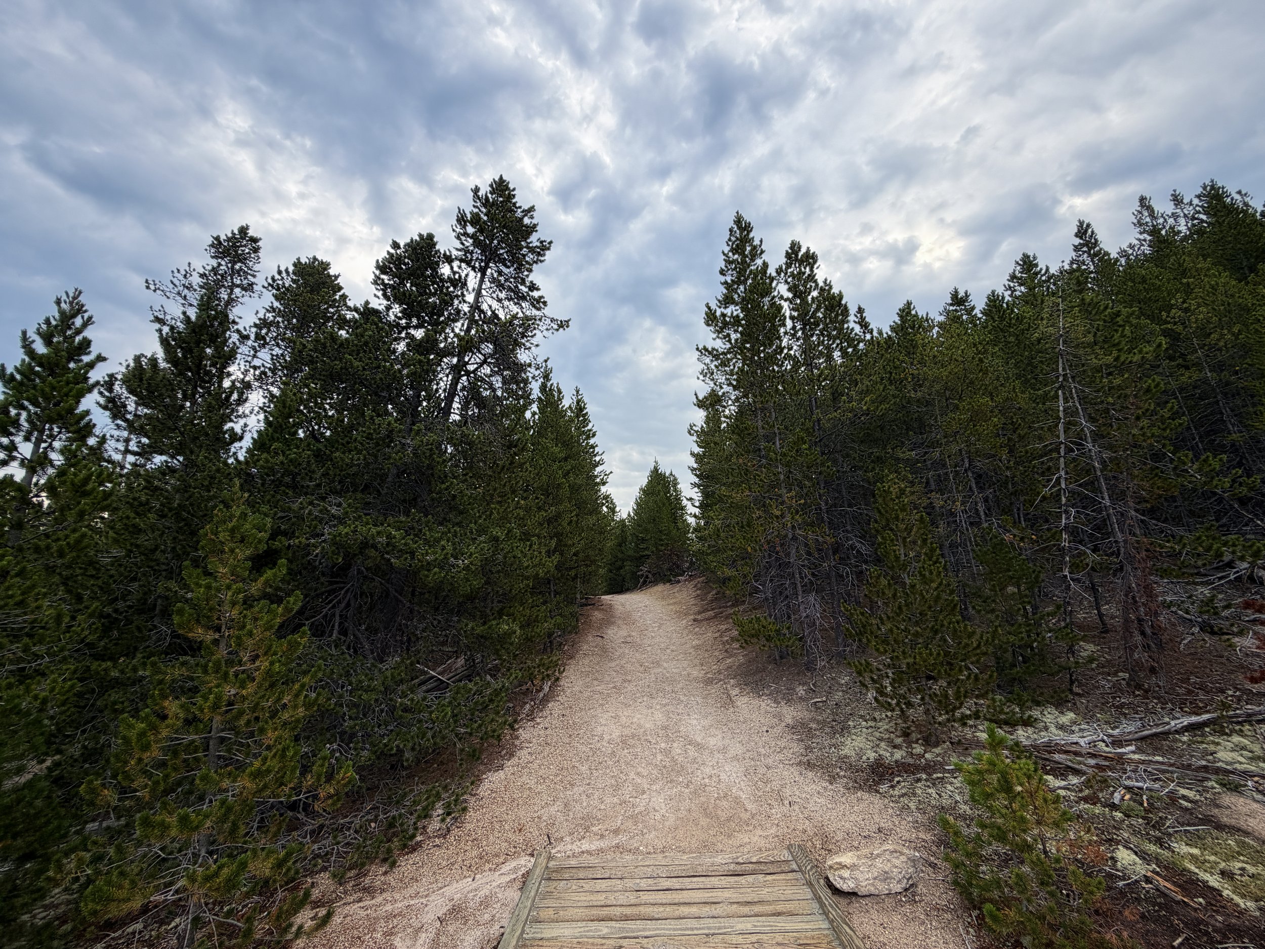 Norris Geyser Basin Trail Yellowstone National Park Wyoming