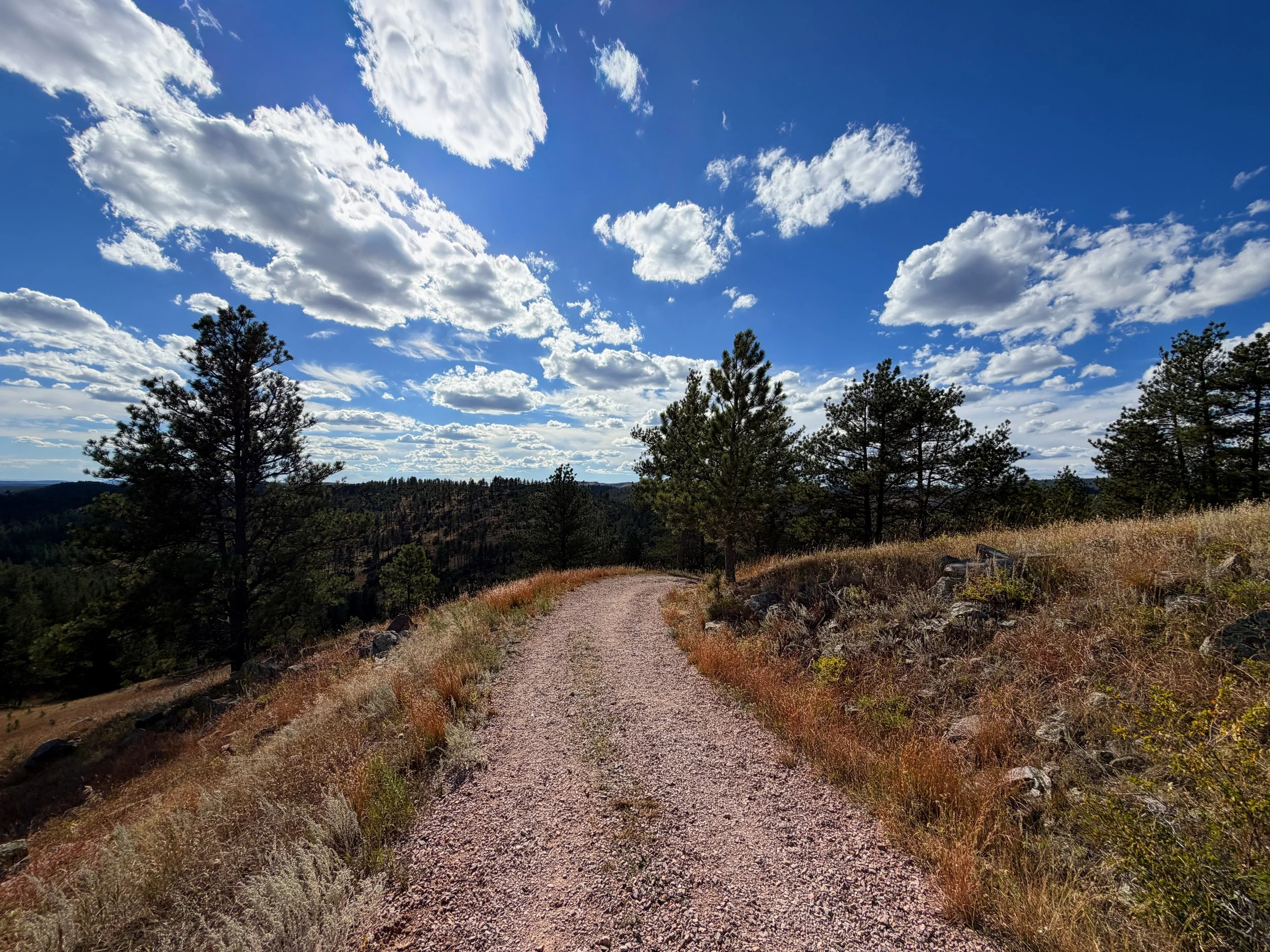 Rankin Ridge Trail Wind Cave National Park South Dakota