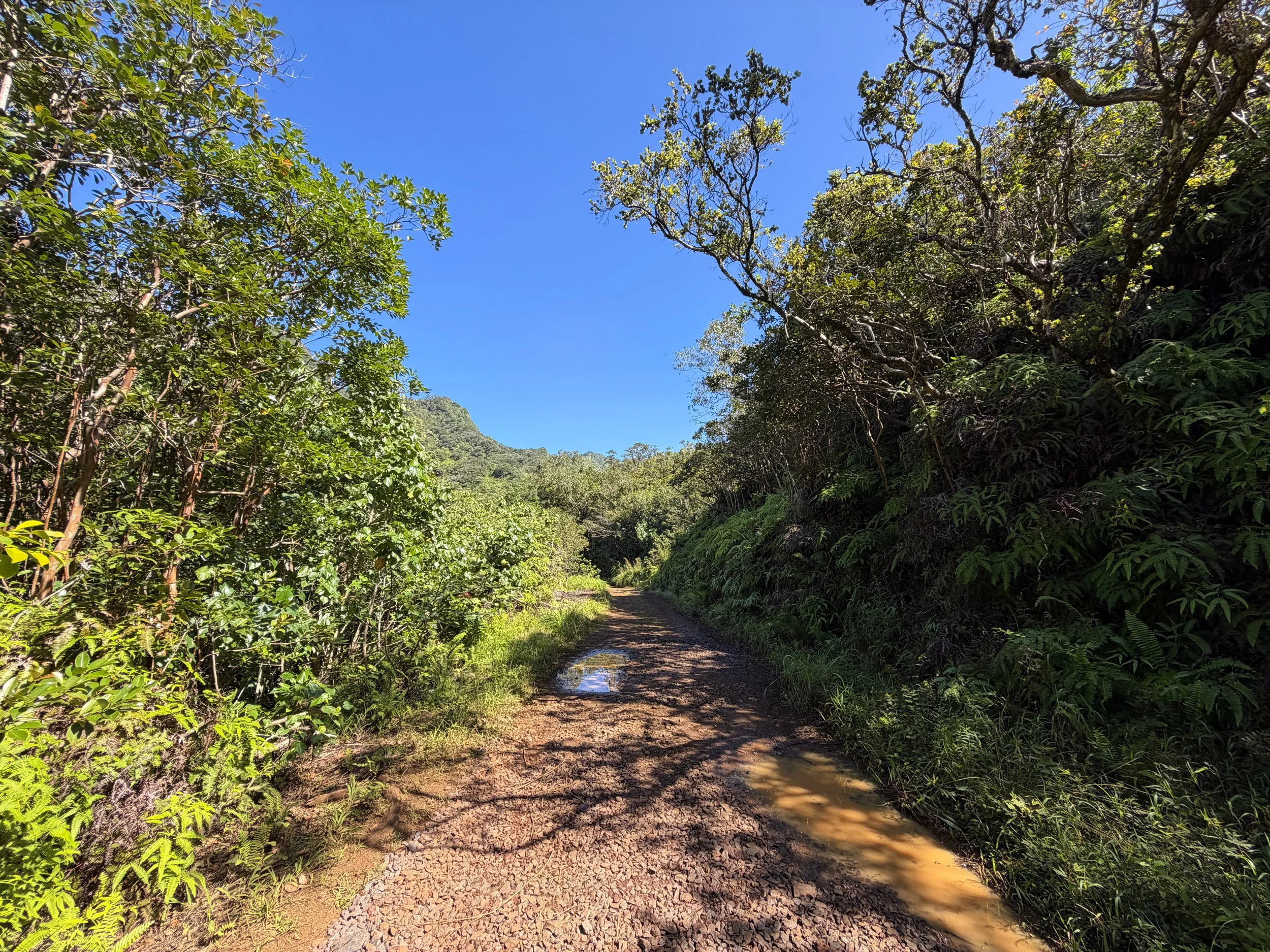 Kulanaahane Trail Oahu Hawaii