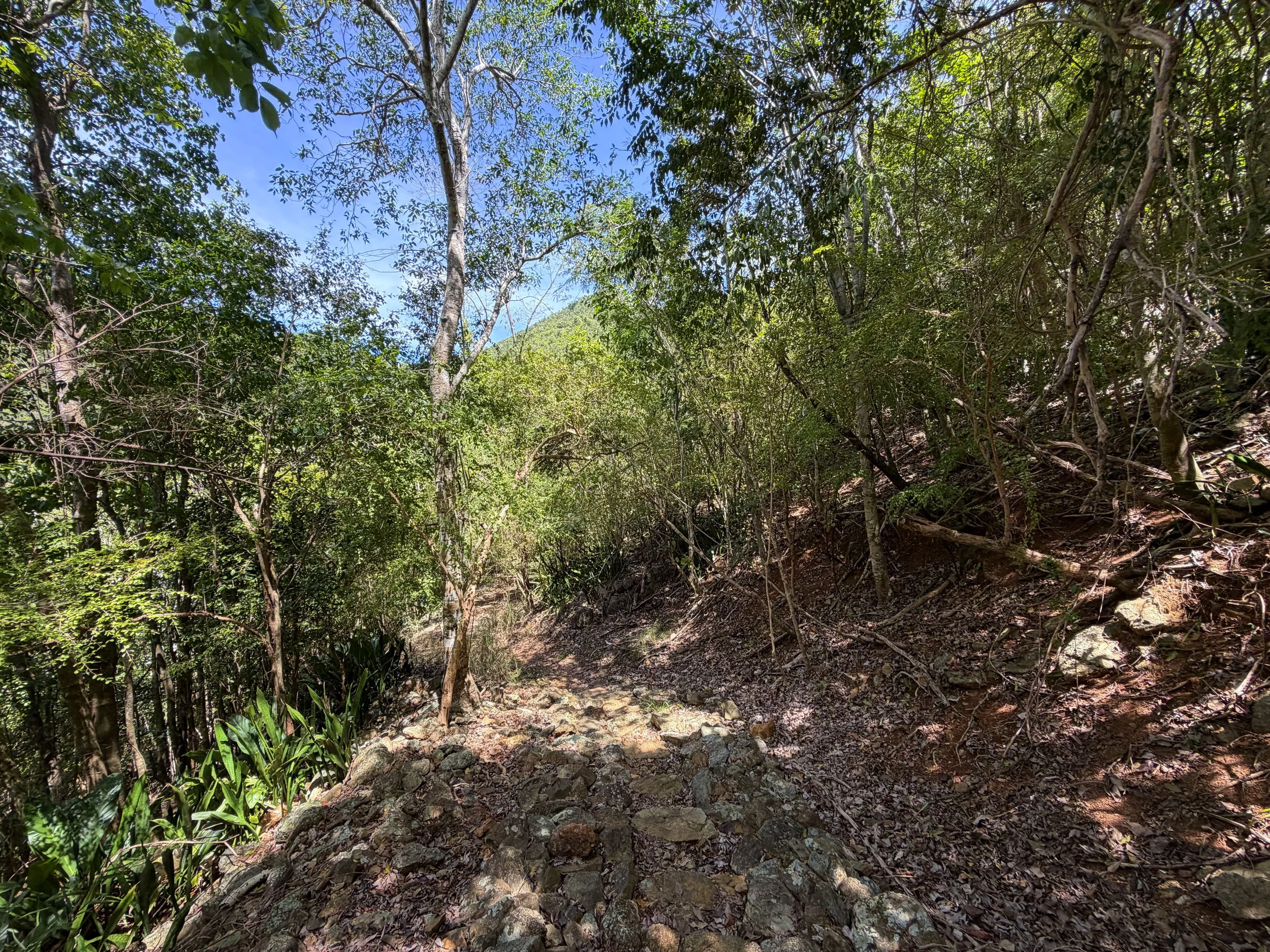 Lameshur Bay Trail Virgin Islands National Park