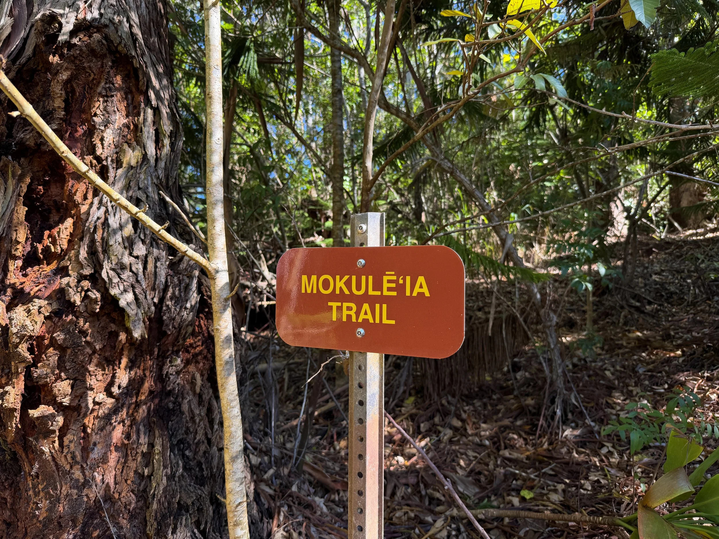 Mokuleia Trailhead Oahu Hawaii