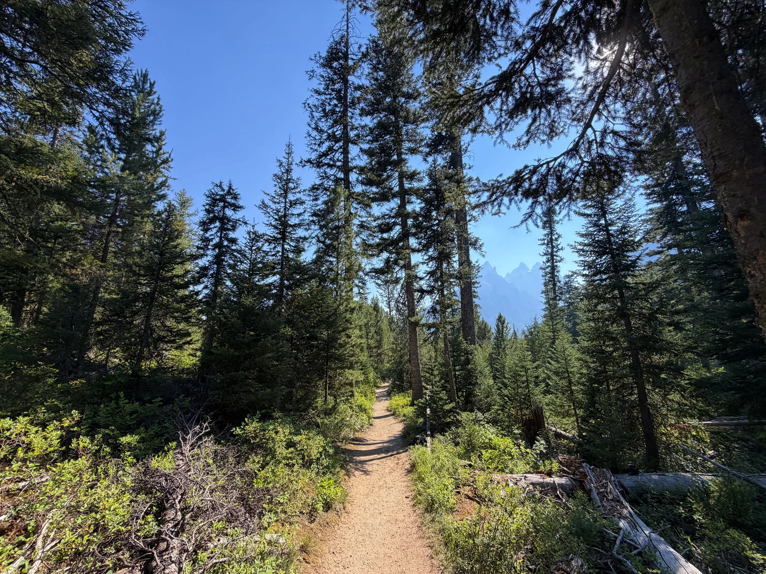 Jenny Lake Trail Grand Teton National Park Wyoming