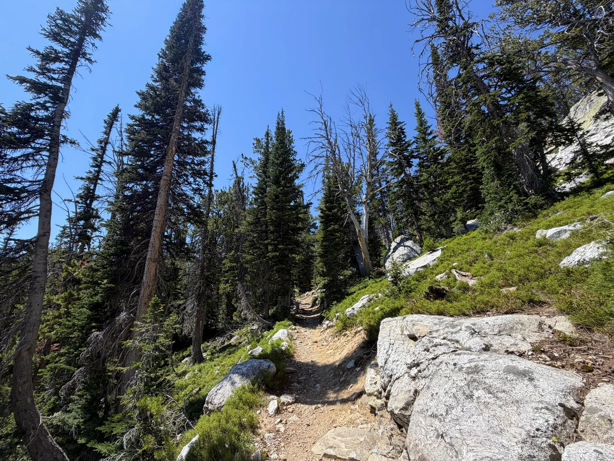 Surprise and Amphitheater Lakes Hike Grand Teton National Park Wyoming