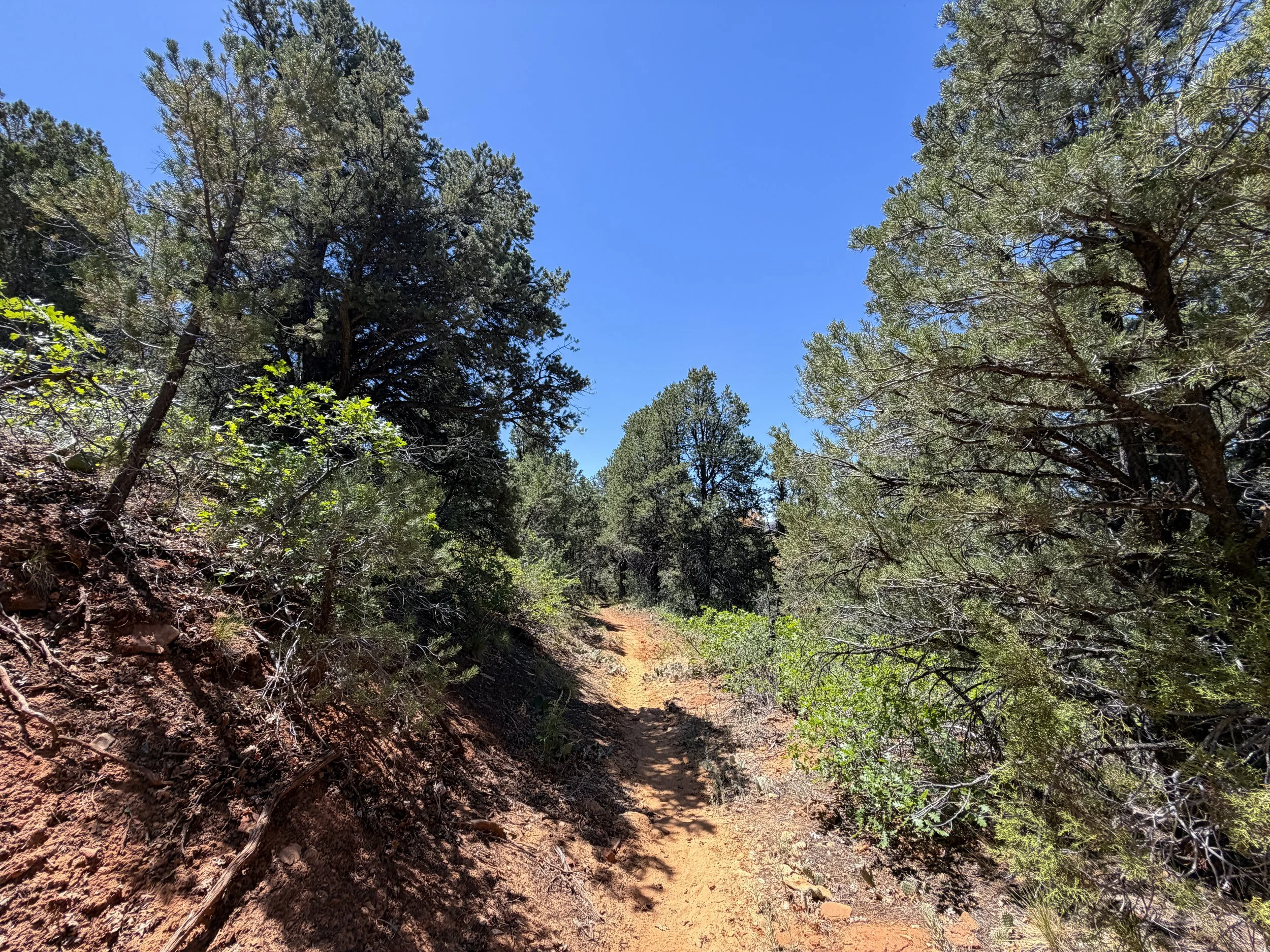 Cable Mountain Trail Zion National Park Utah