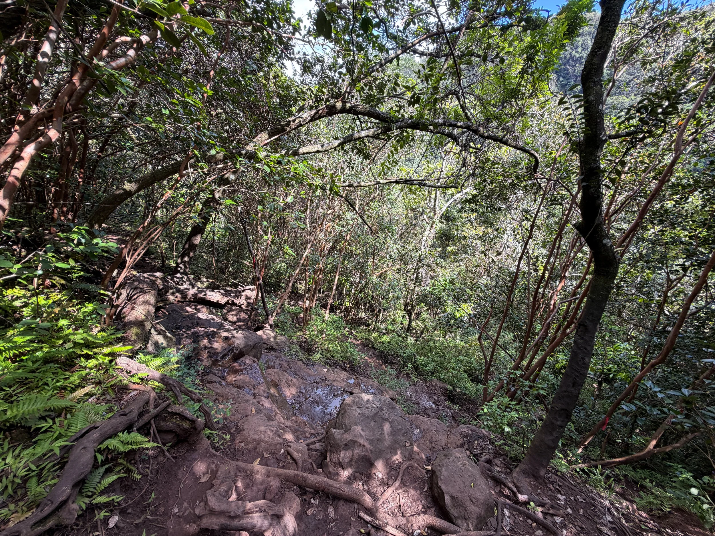 Waimano Pools Trail Oahu Hawaii