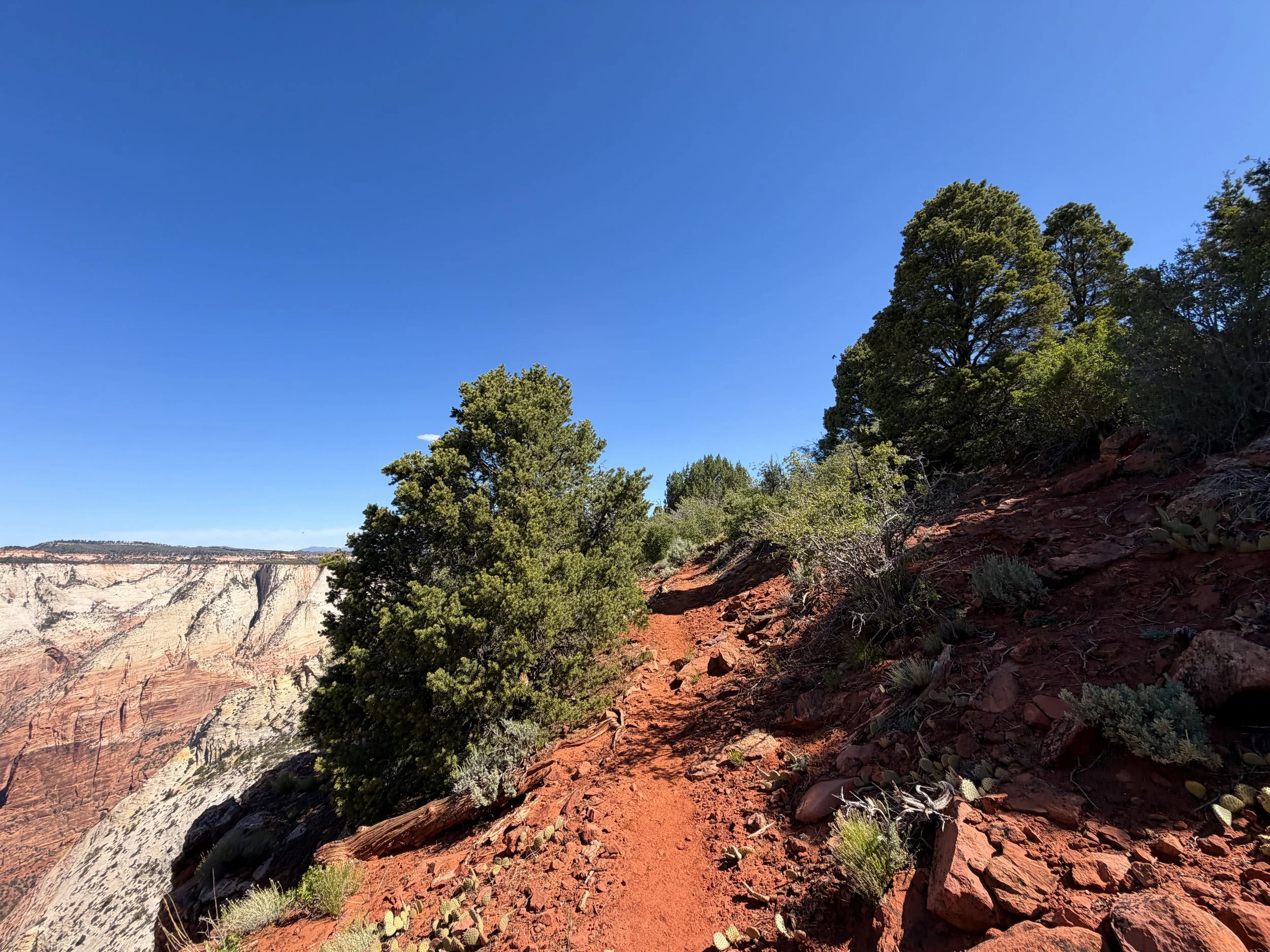 Deertrap Mountain Trail Zion National Park Utah