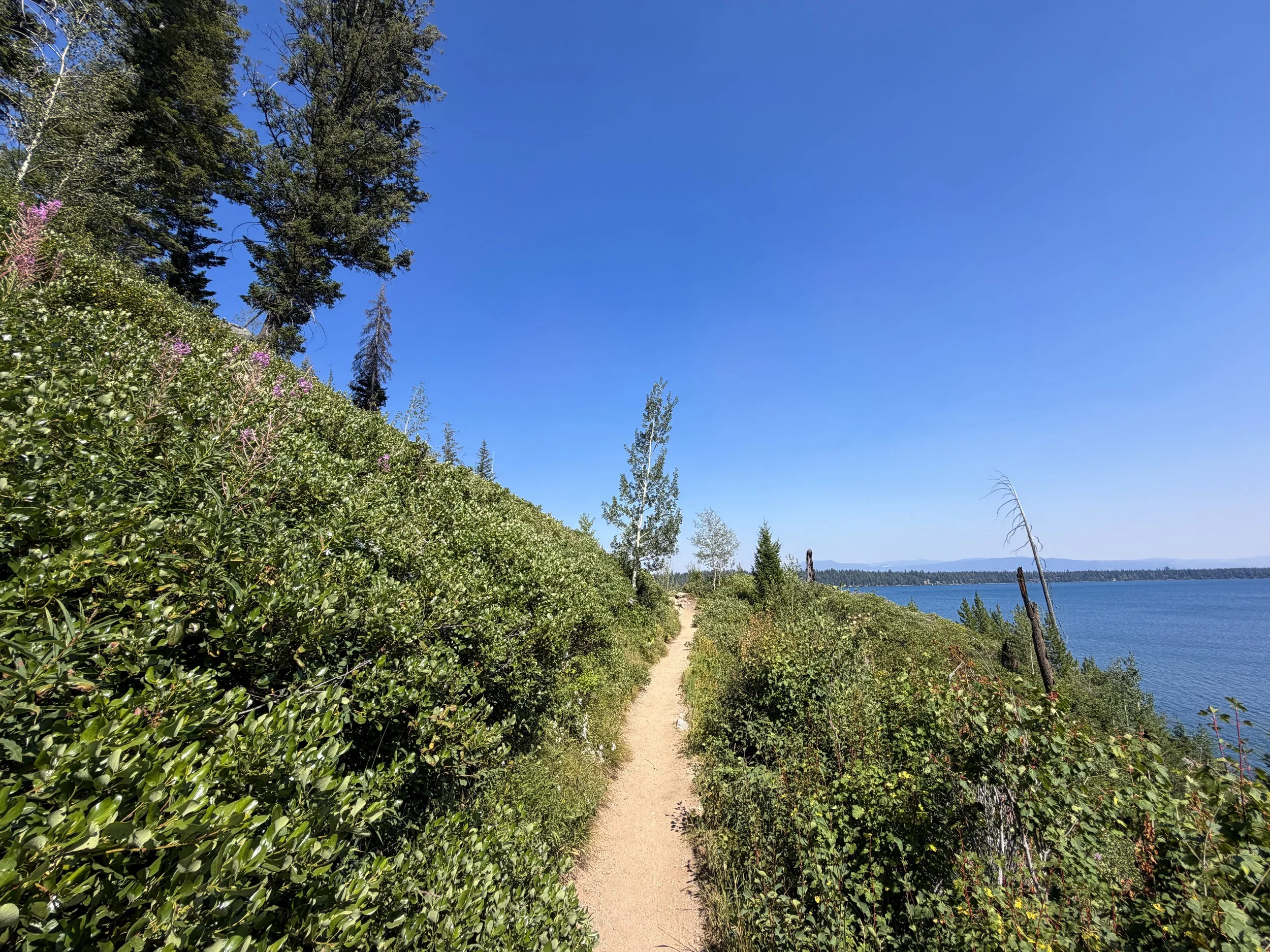 Jenny Lake Loop Trail Grand Teton National Park Wyoming