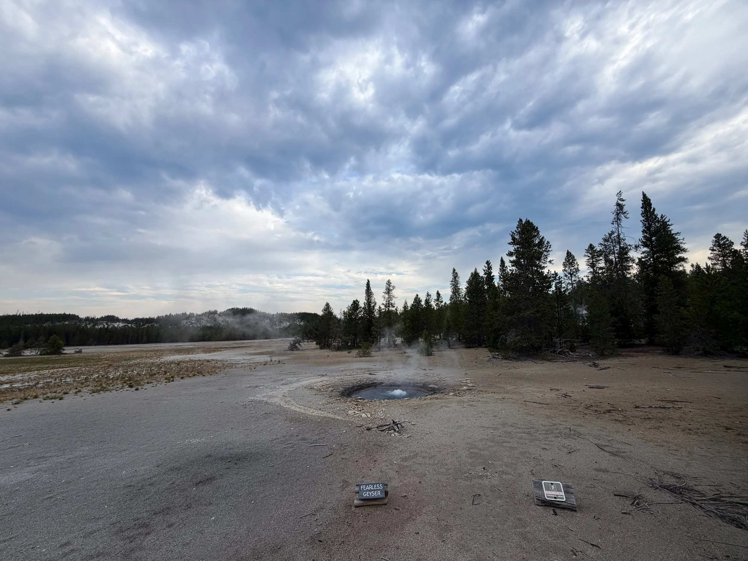 Fearless Geyser Norris Geyser Basin Trail Yellowstone National Park Wyoming