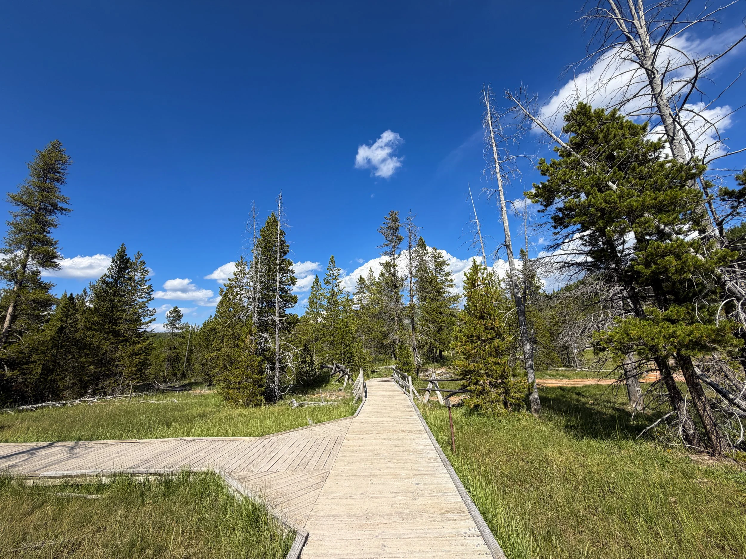 Artists Paintpots Trail Yellowstone National Park Wyoming