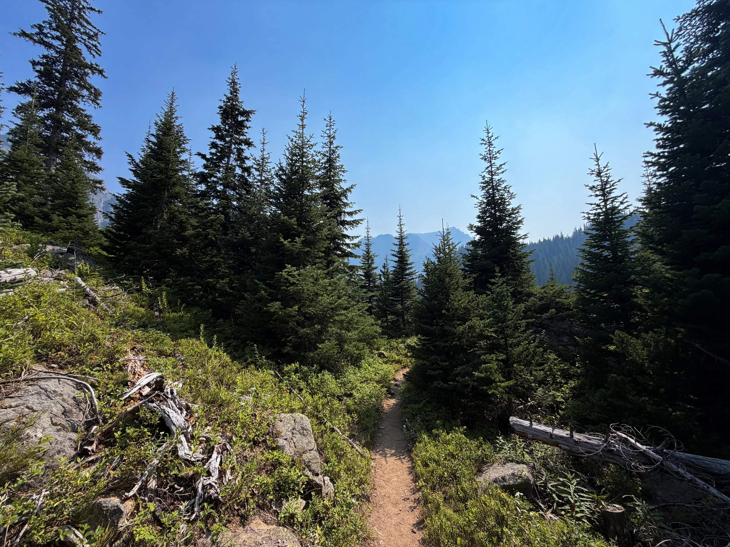 East Rosebud Trail The Beaten Path Beartooth Mountains Montana