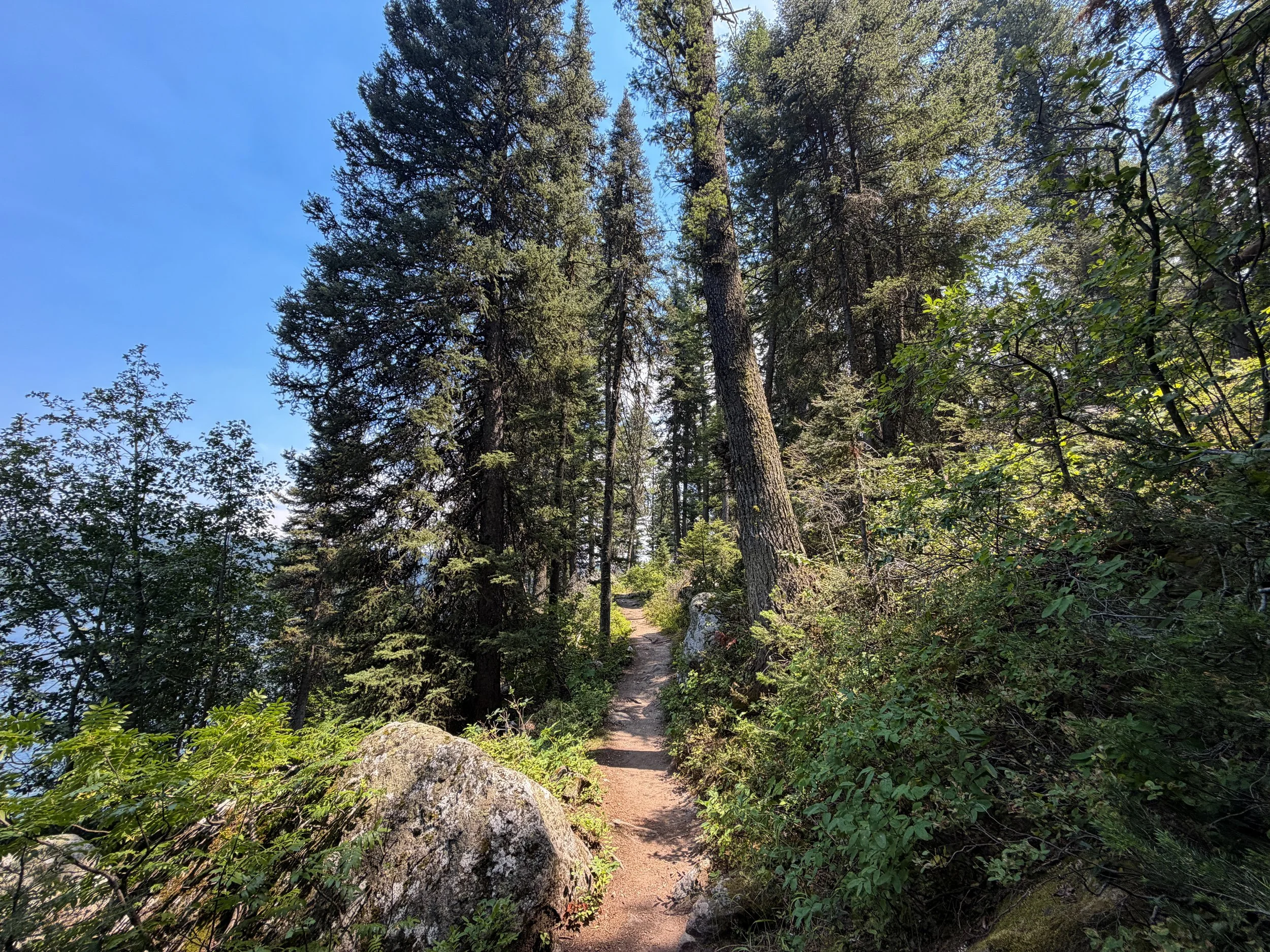 Phelps Lake Loop Trail Grand Teton National Park Wyoming