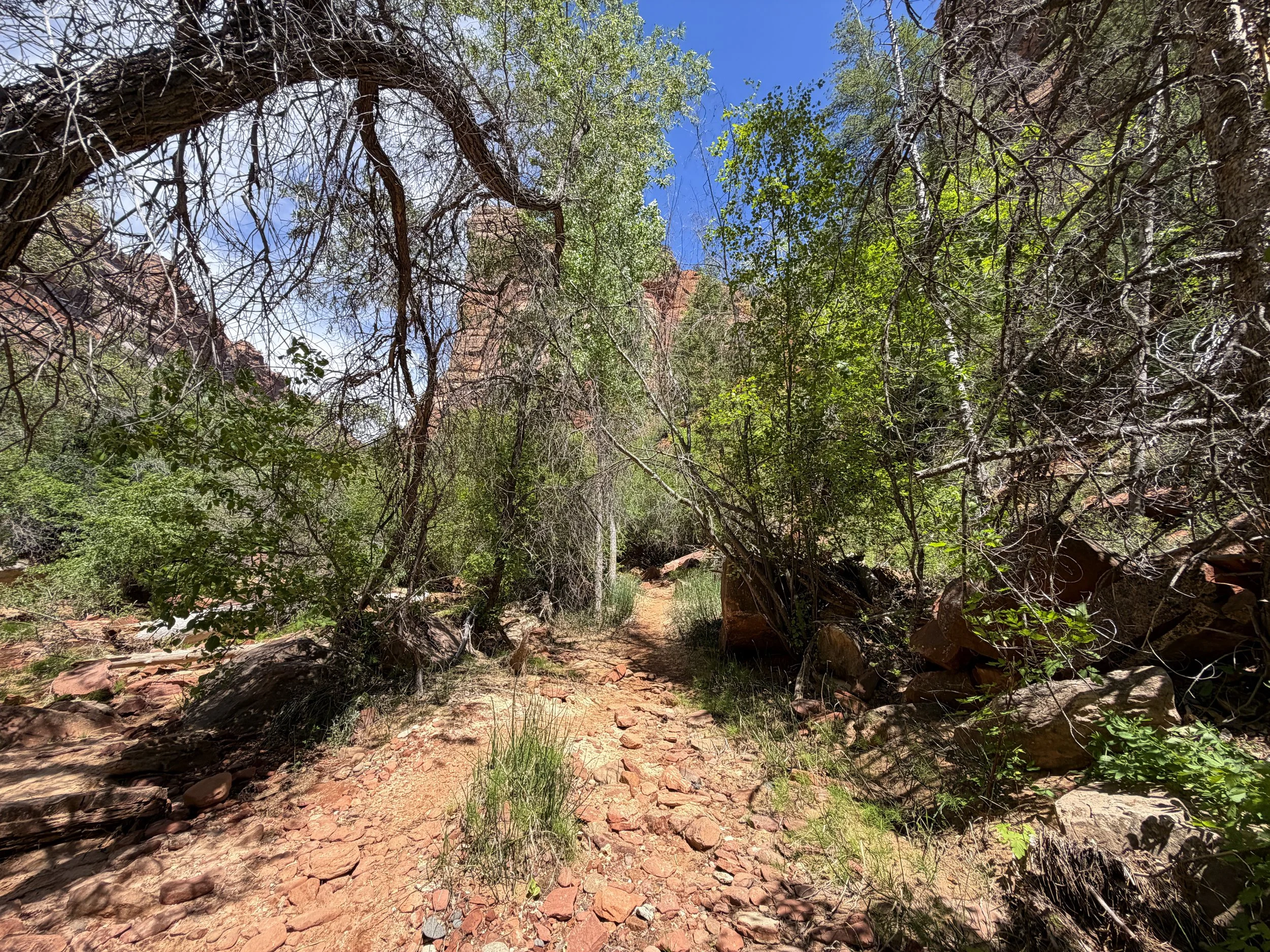 Left Fork Trail to the Subway Zion National Park Utah