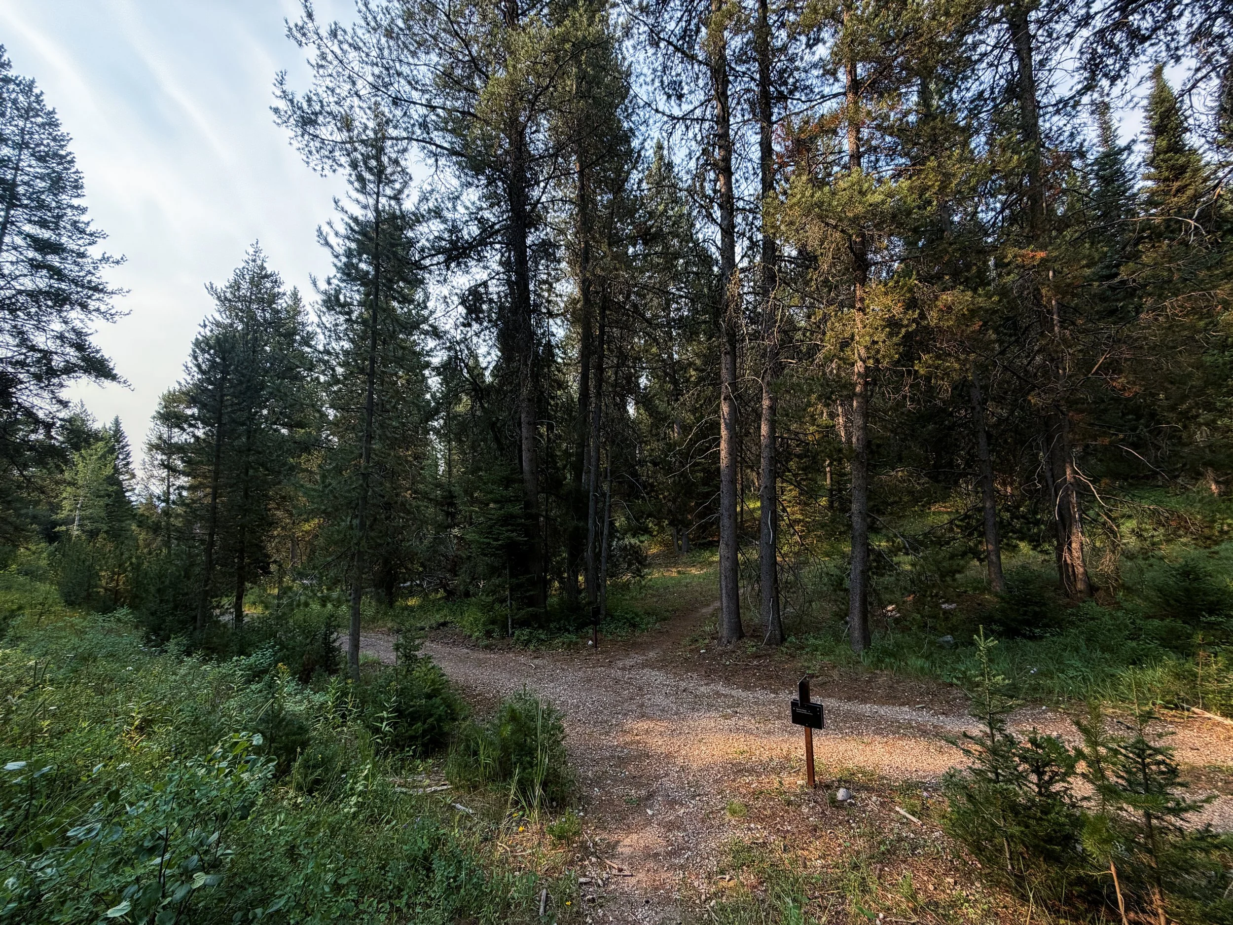 Aspen–Boulder Ridge Loop Trail Grand Teton National Park Wyoming