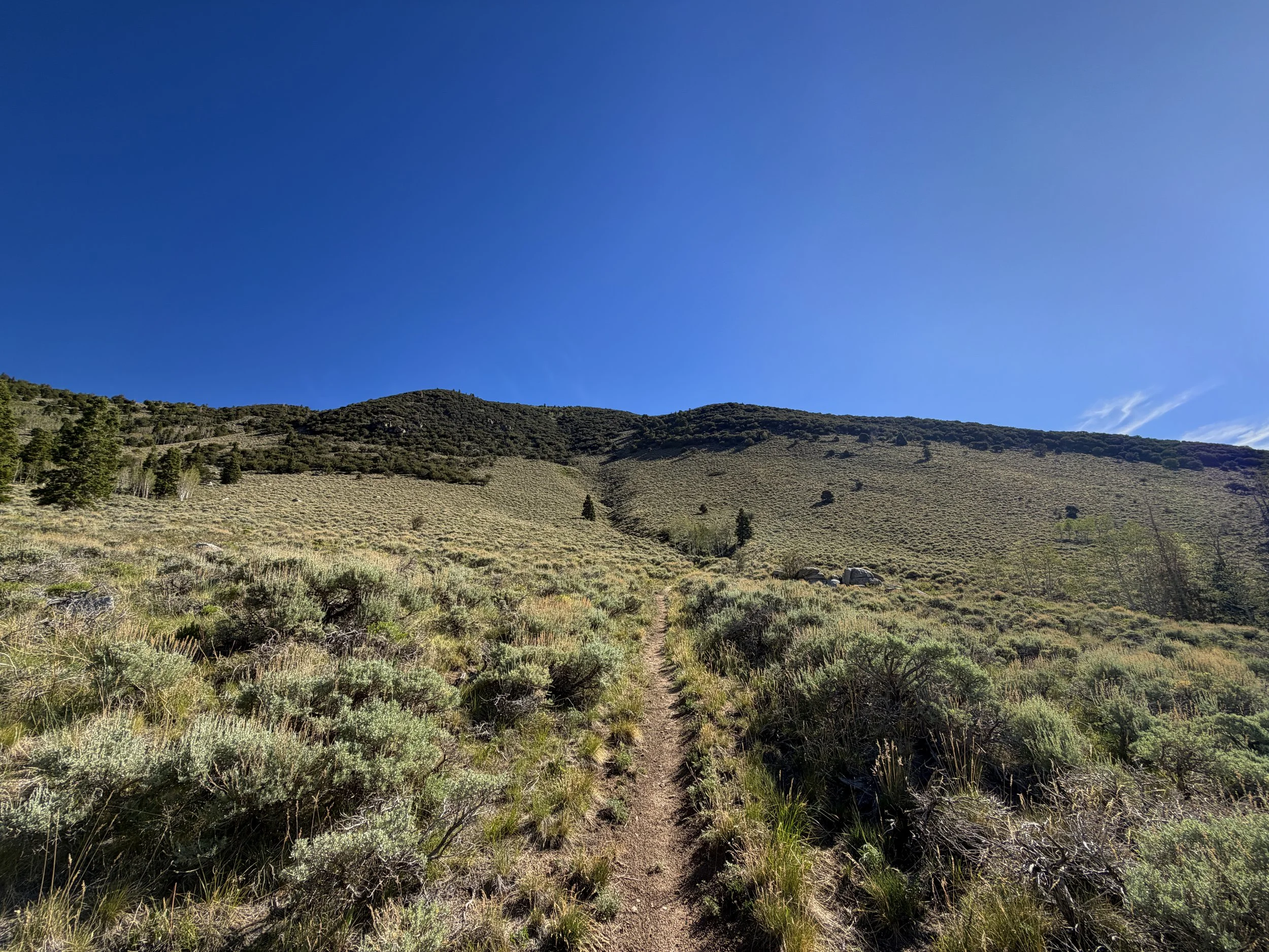 Johnson Lake Hike Great Basin National Park Nevada