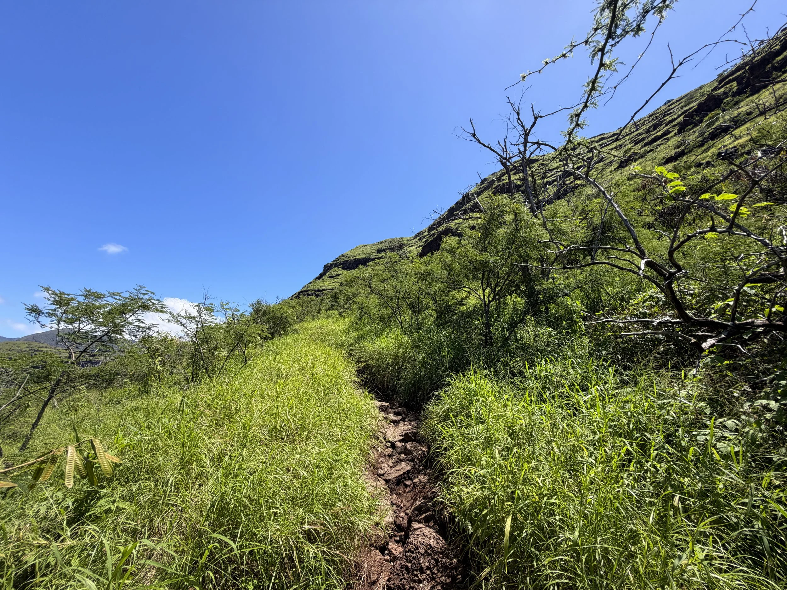 Pink Pillbox Trail Oahu Hawaii