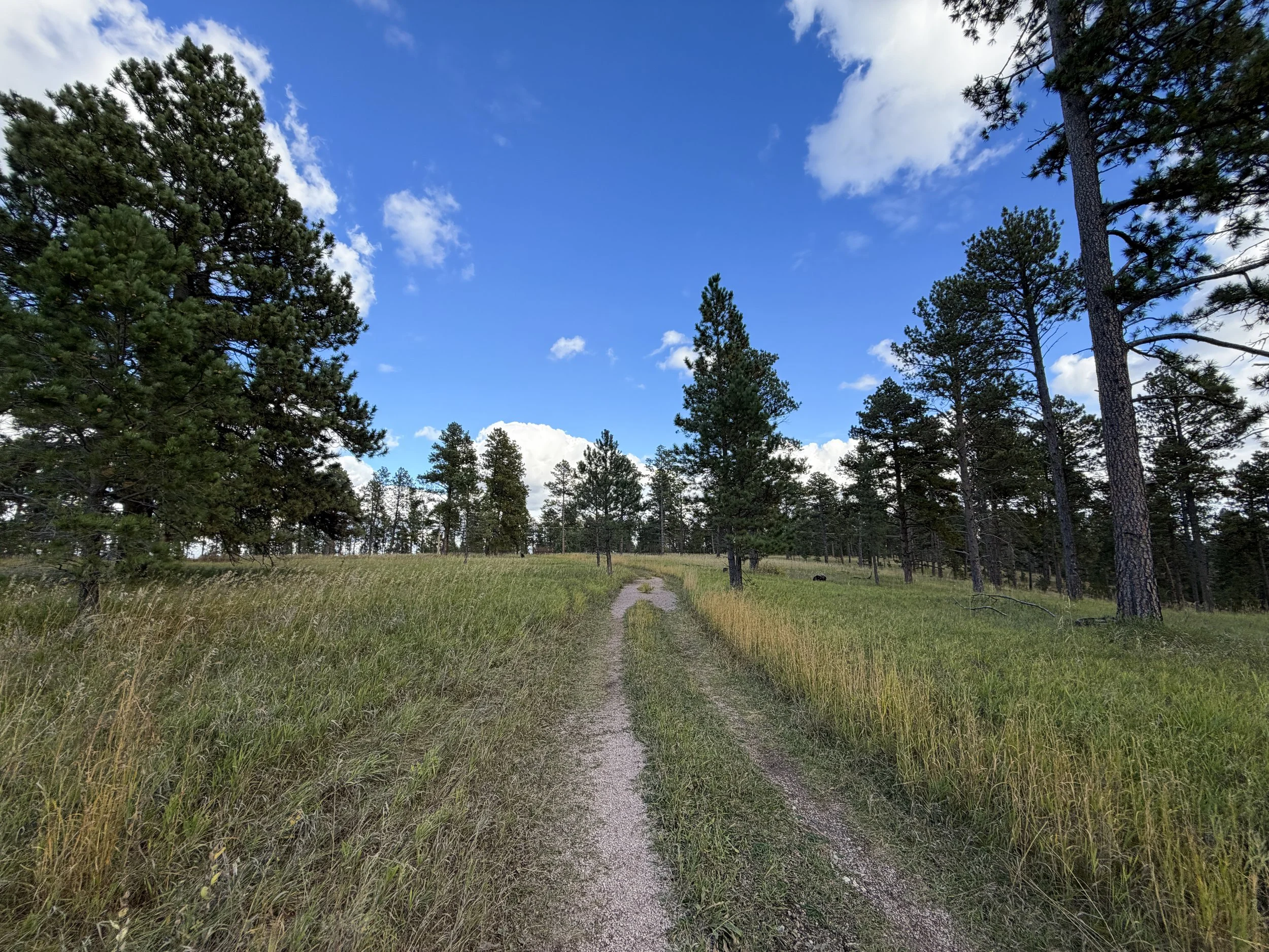 Stratobowl Rim Trail Black Hills South Dakota